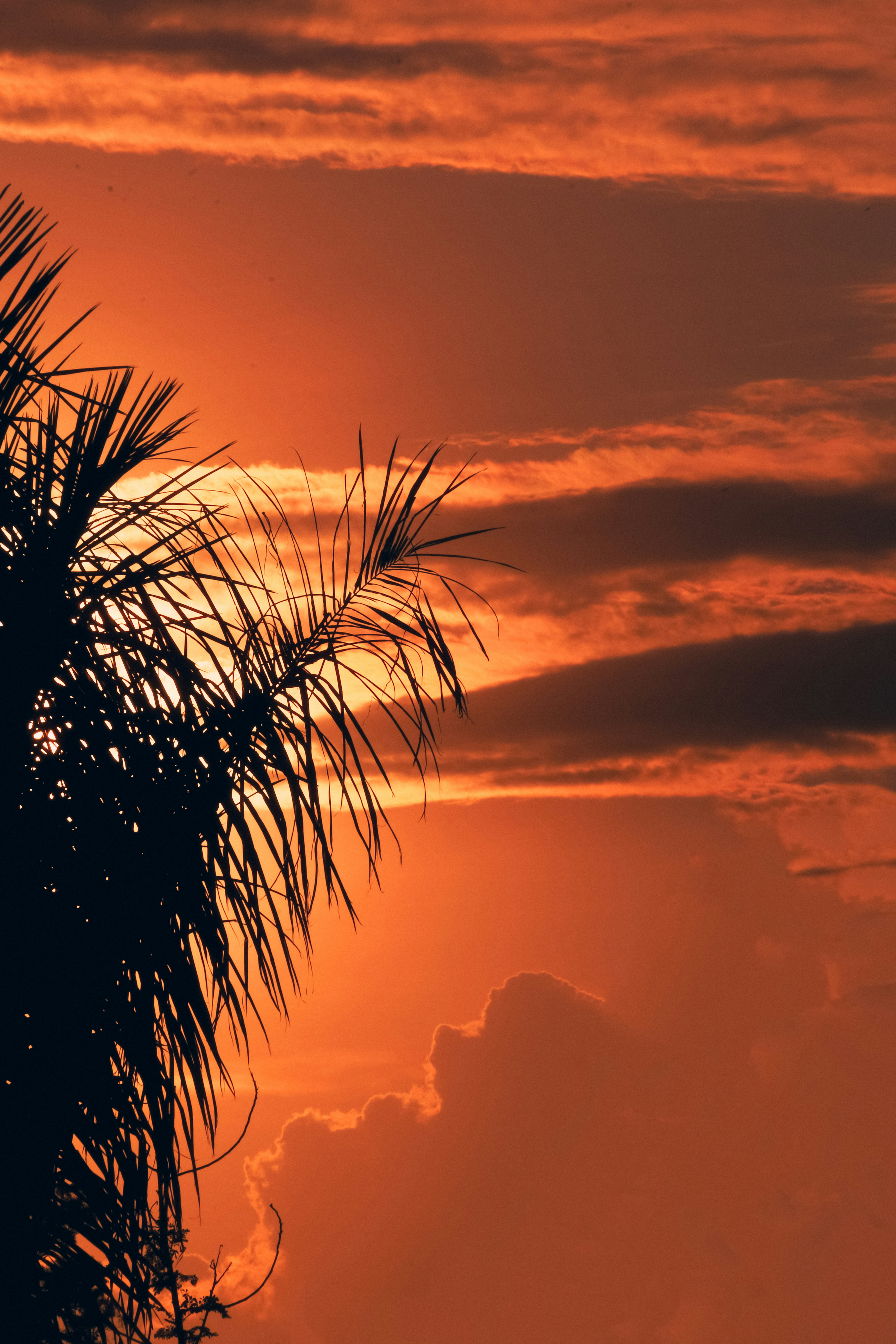 Photo by stevecameup