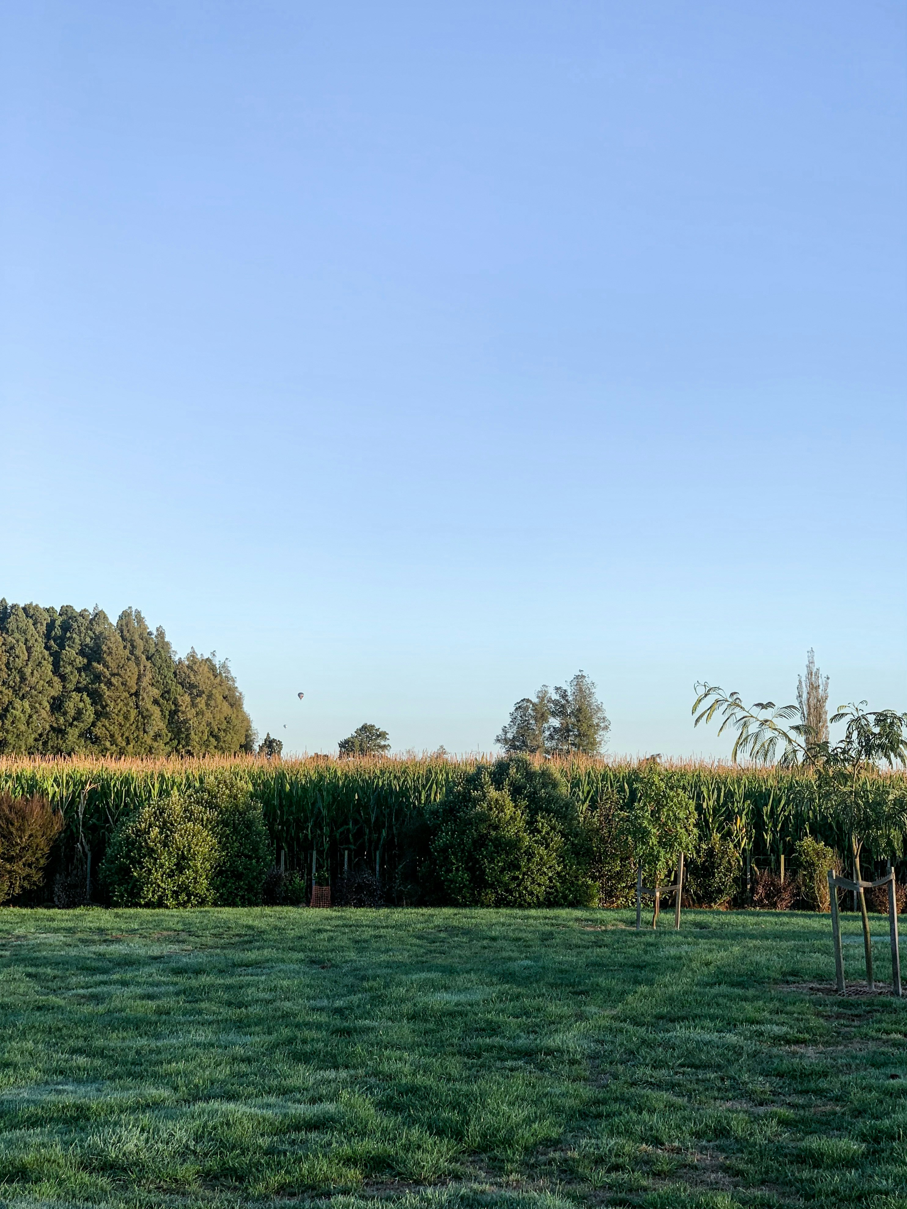 Hamilton Hill, Western Australia