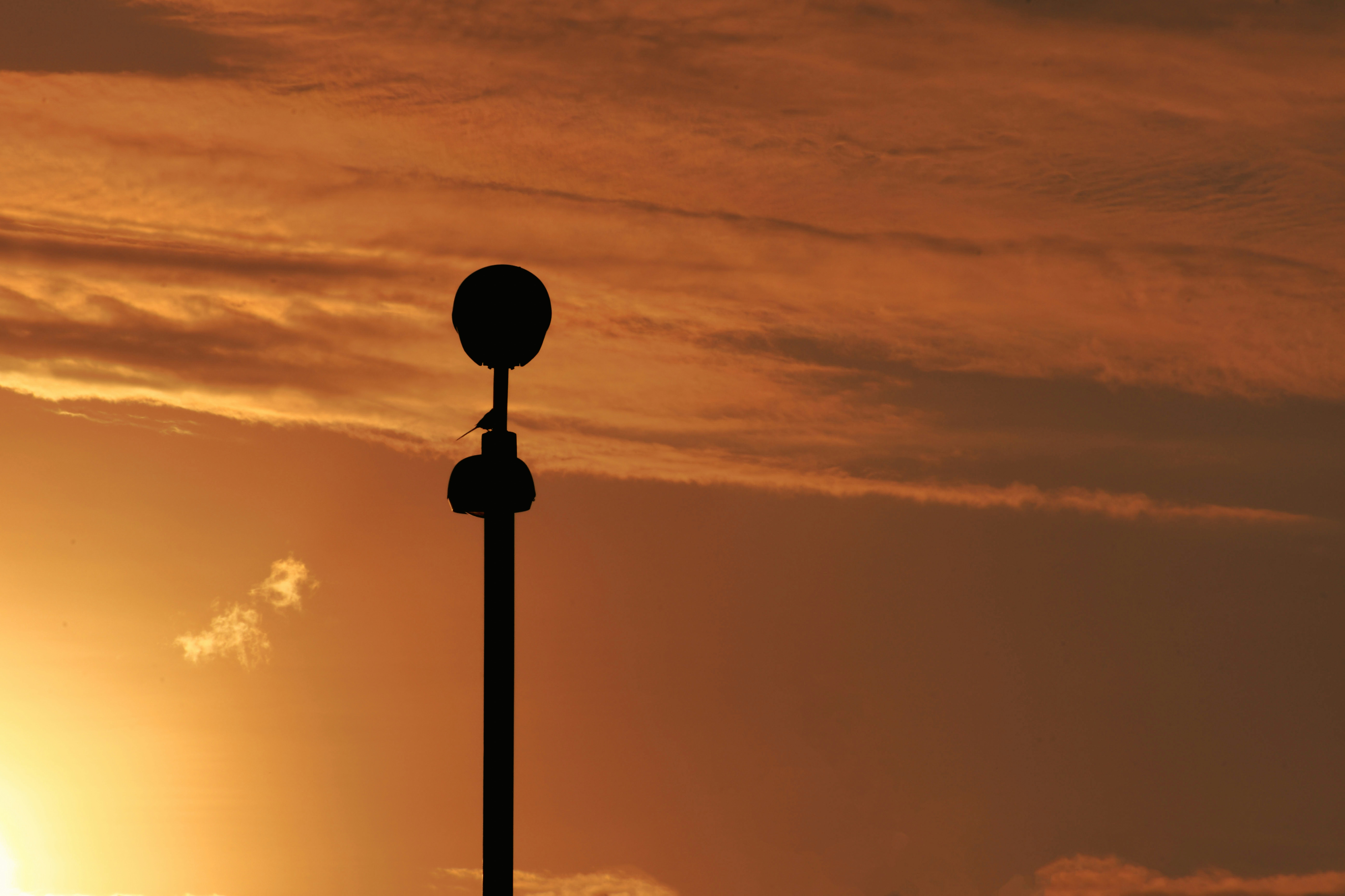 Photo by stevecameup