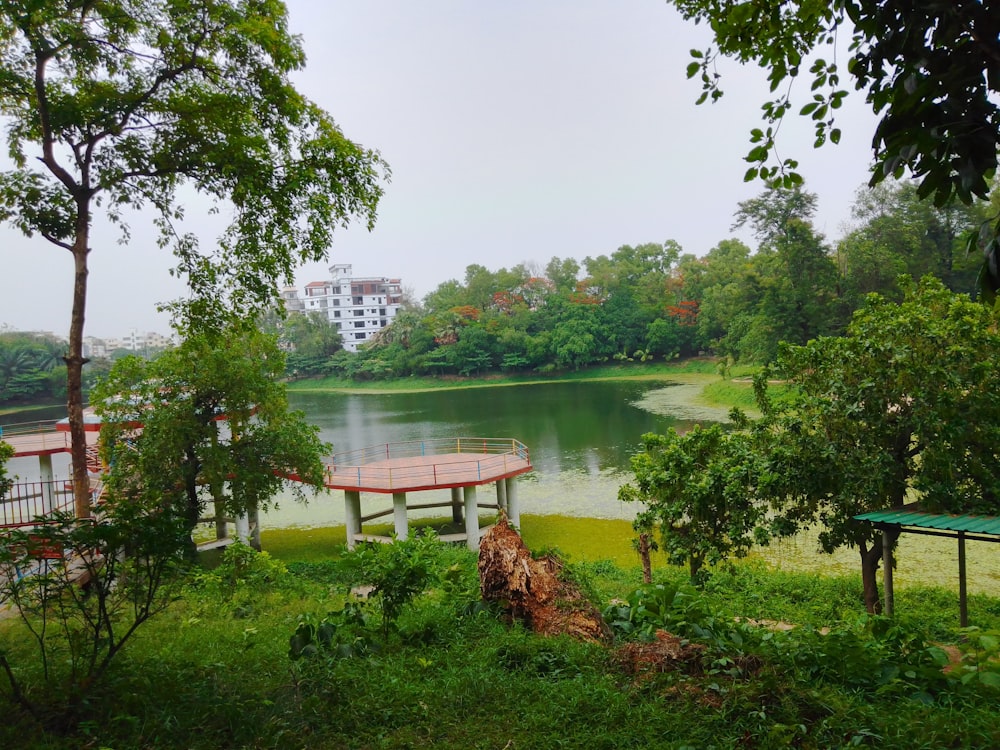 a lake surrounded by lush green trees next to a forest