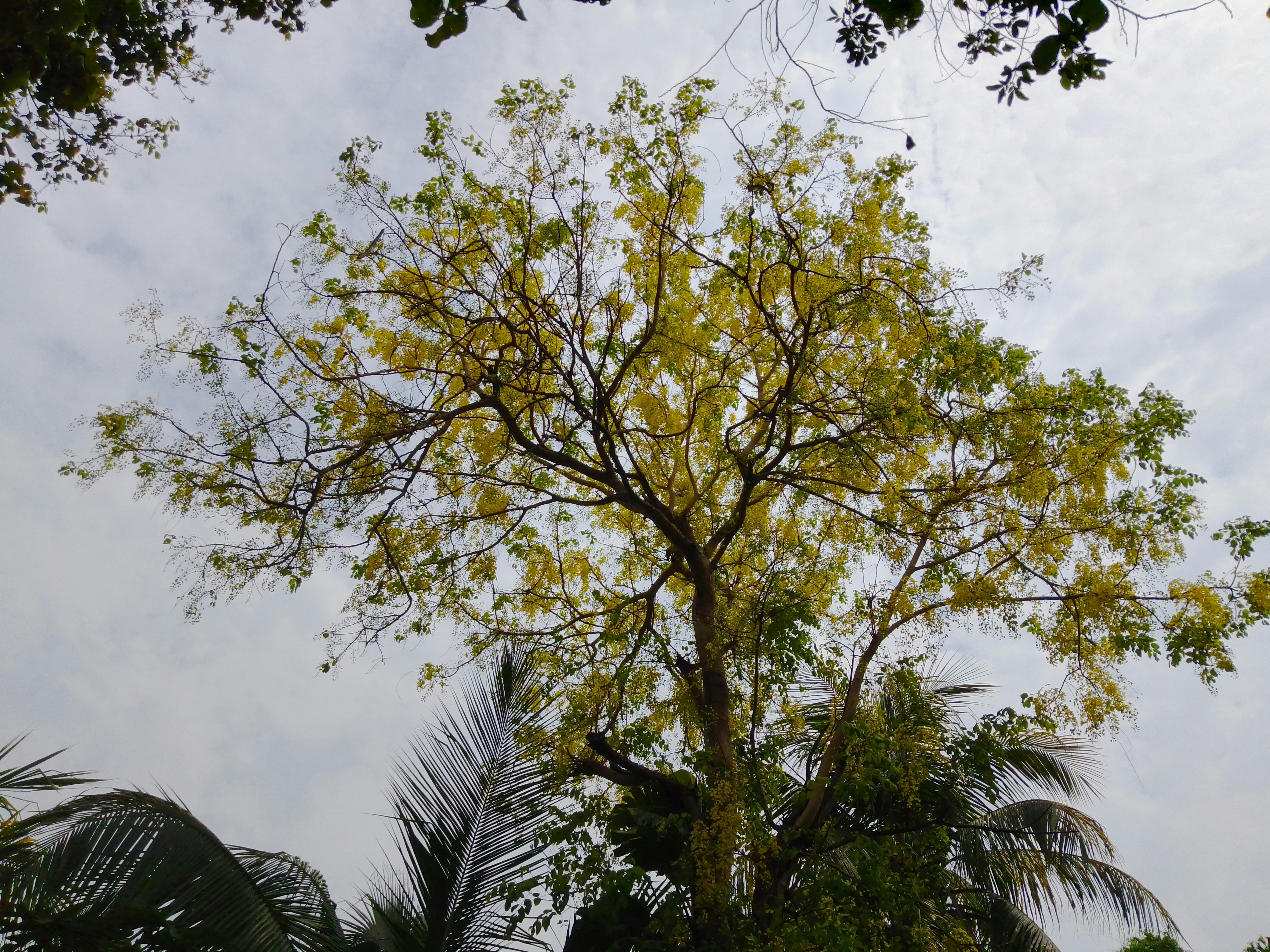 Photo by jahangirartist