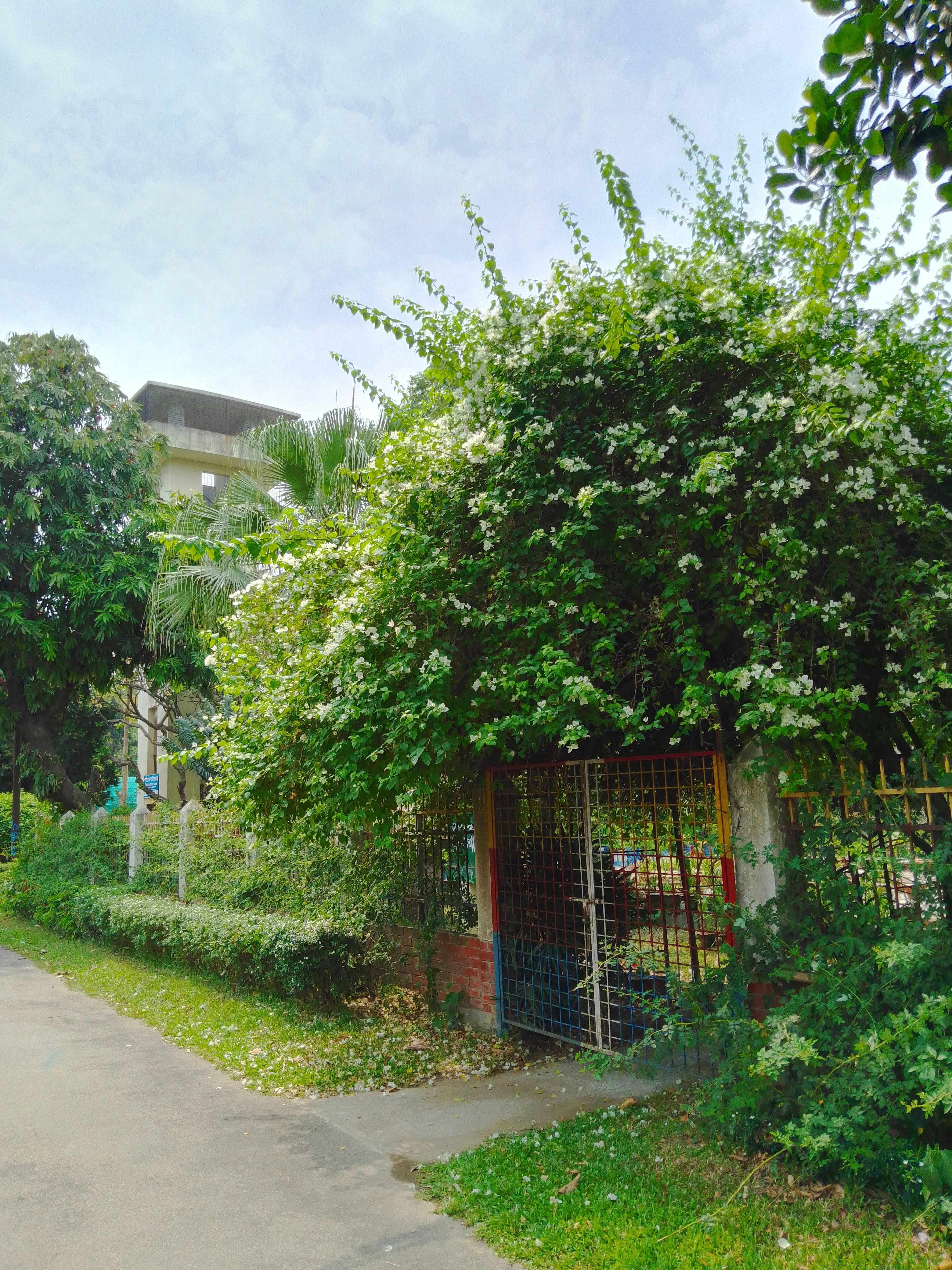 Photo by jahangirartist