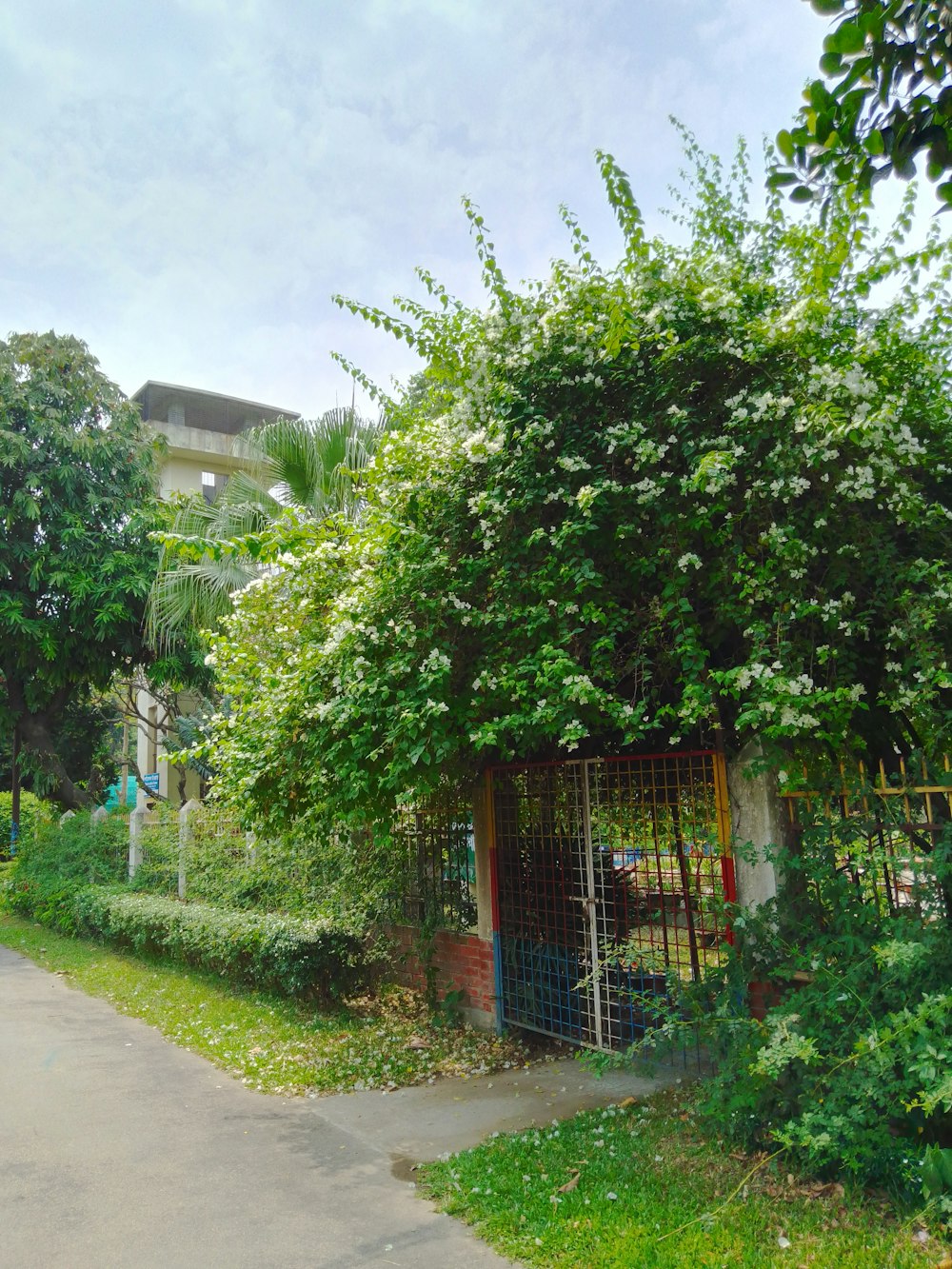 a house with a fence and a gate in front of it