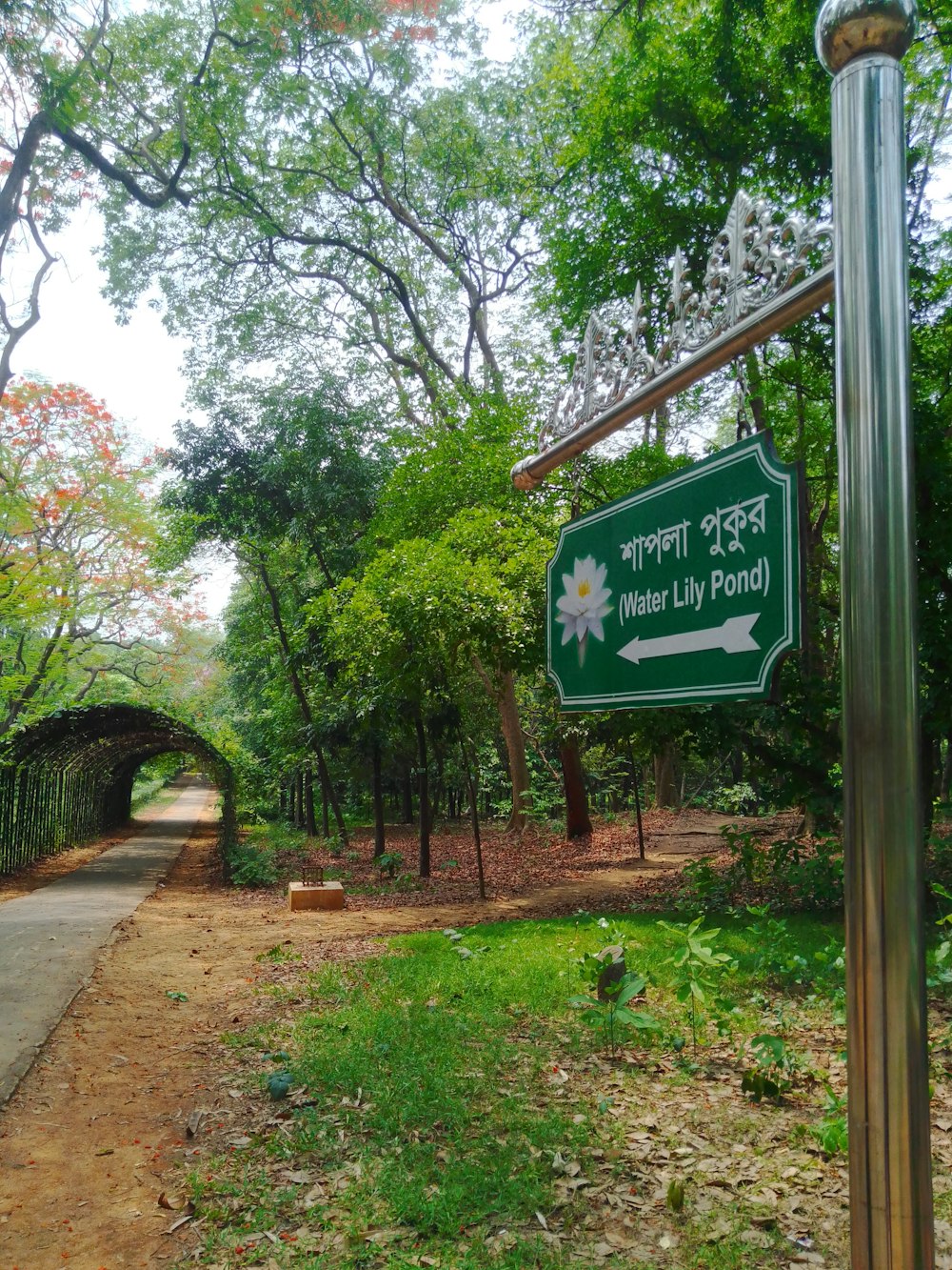 a green street sign sitting on the side of a road