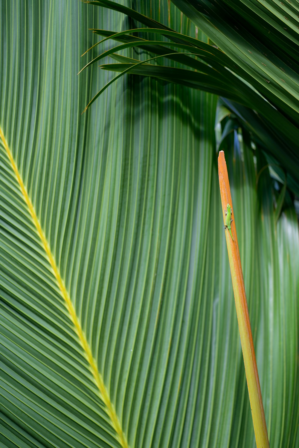 a bird perched on top of a green leaf