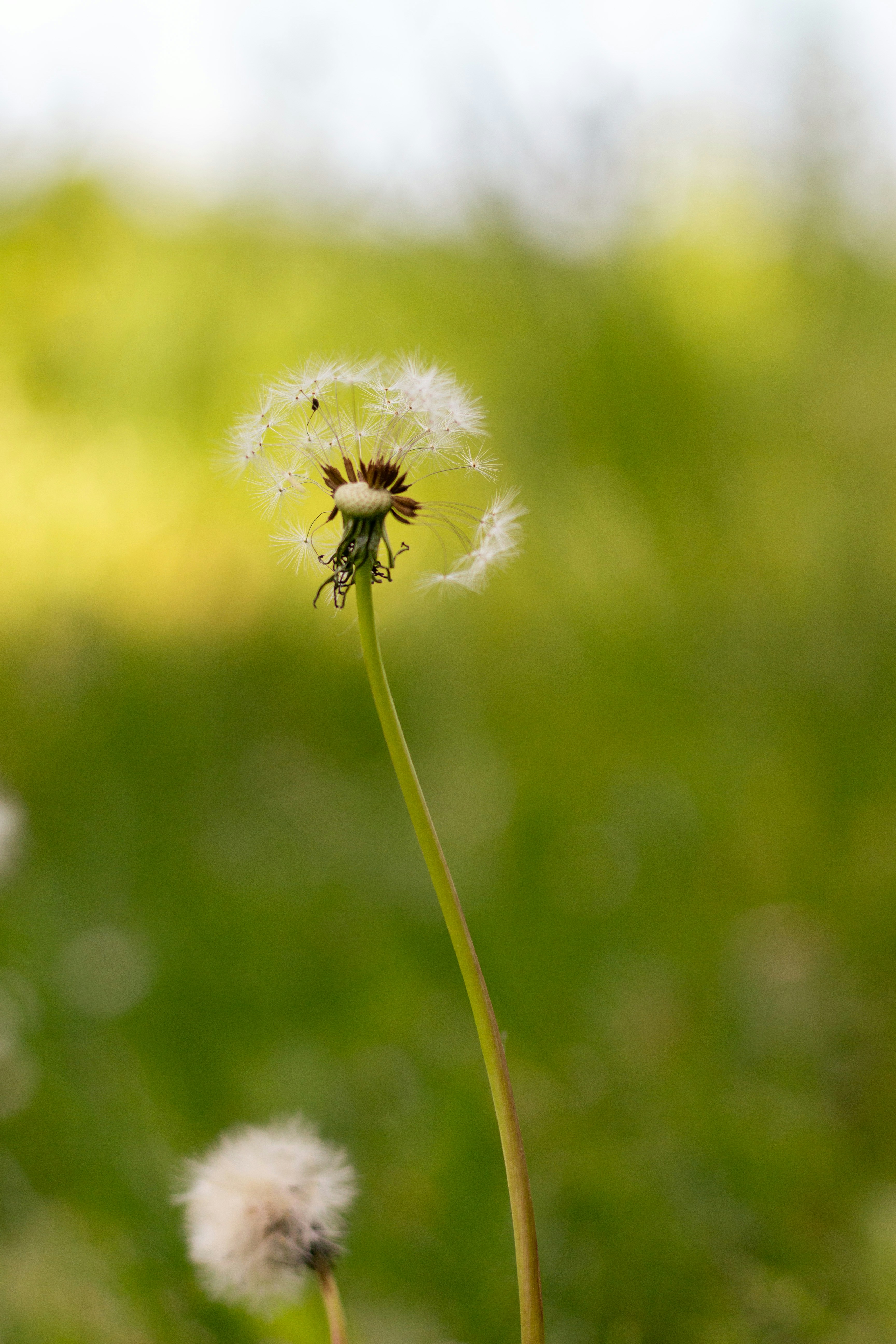 Photo by viktorsmoliak