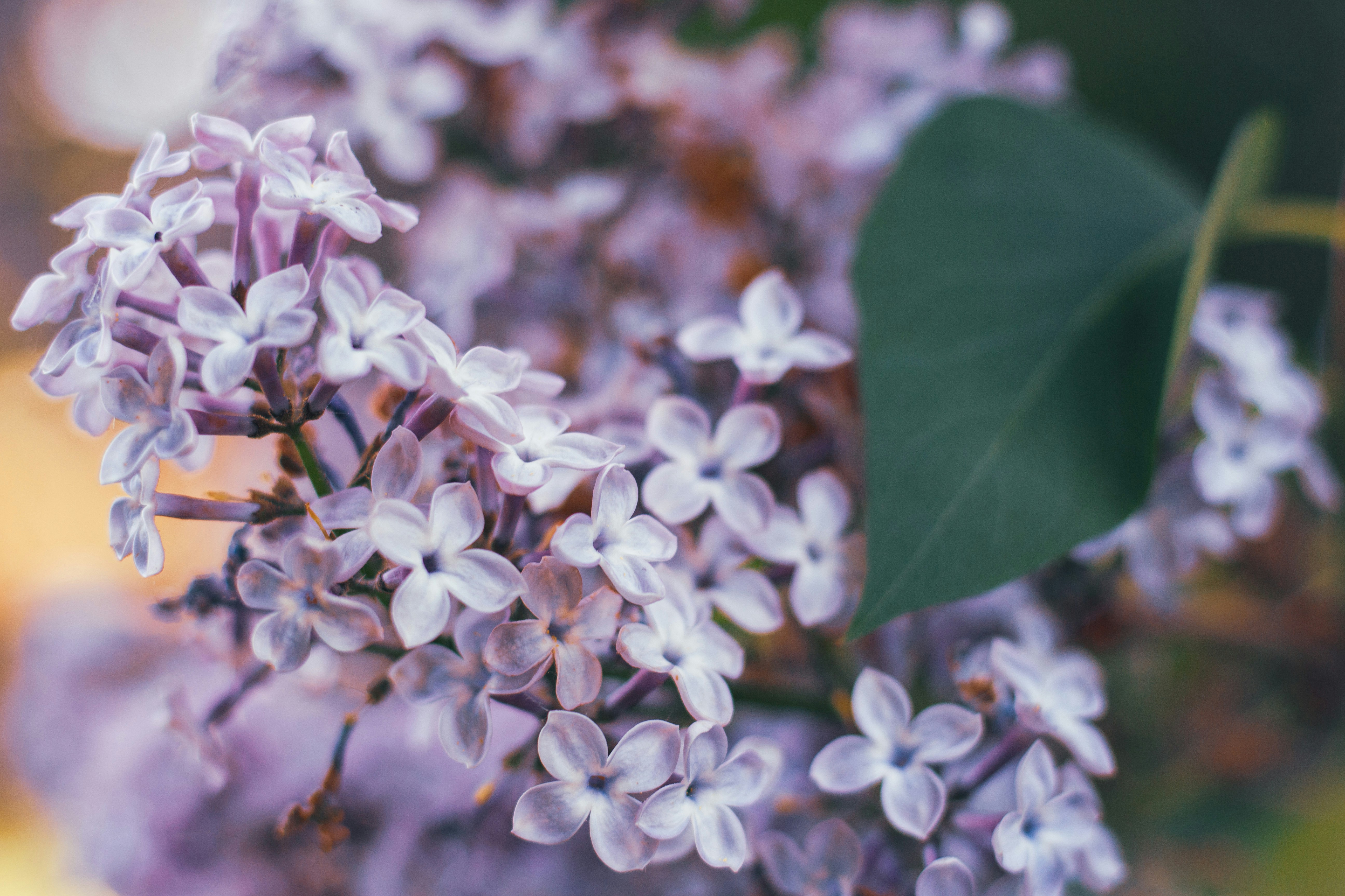 Photo by viktorsmoliak