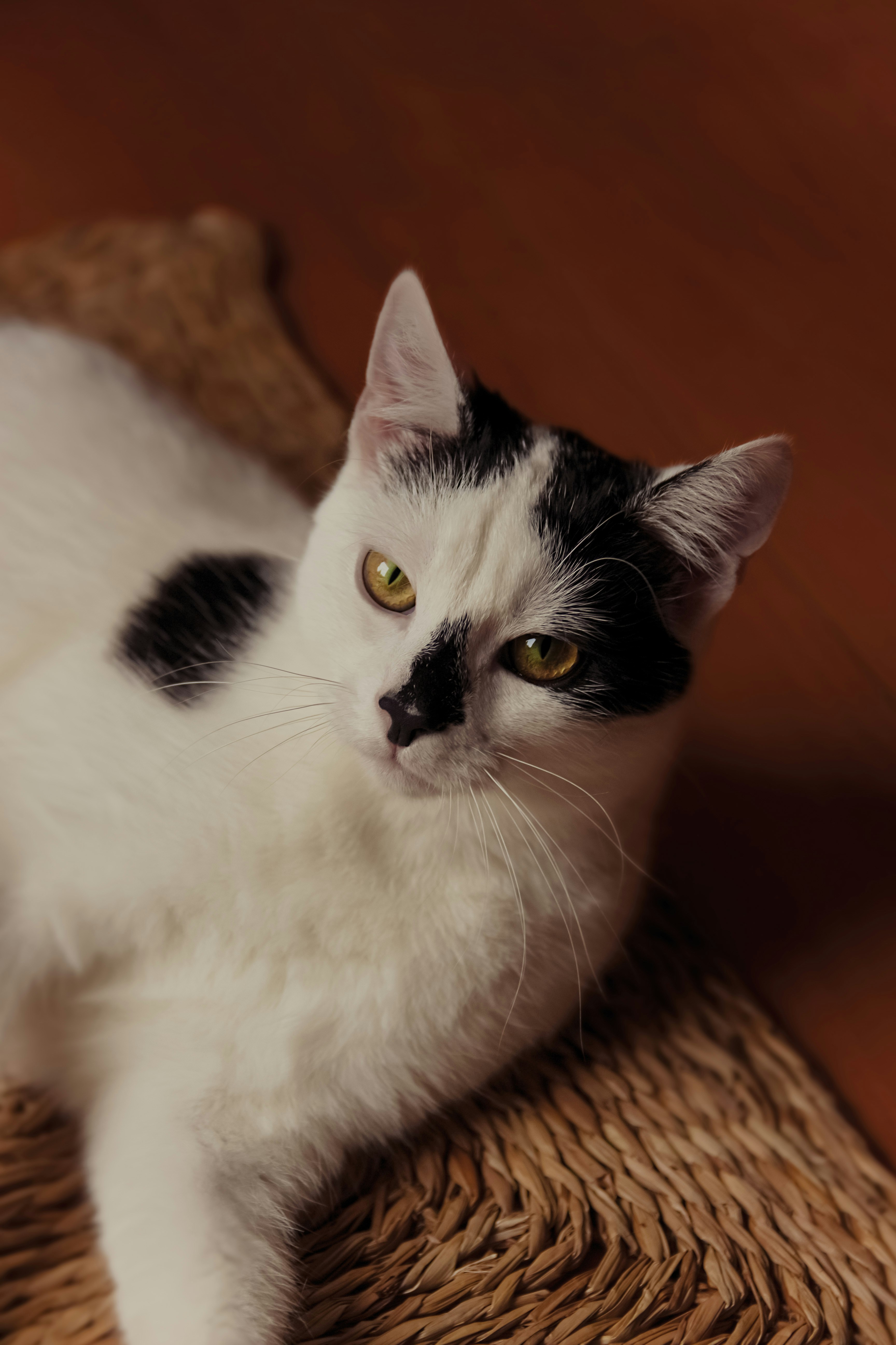 Photo by marcelina_orlikpach