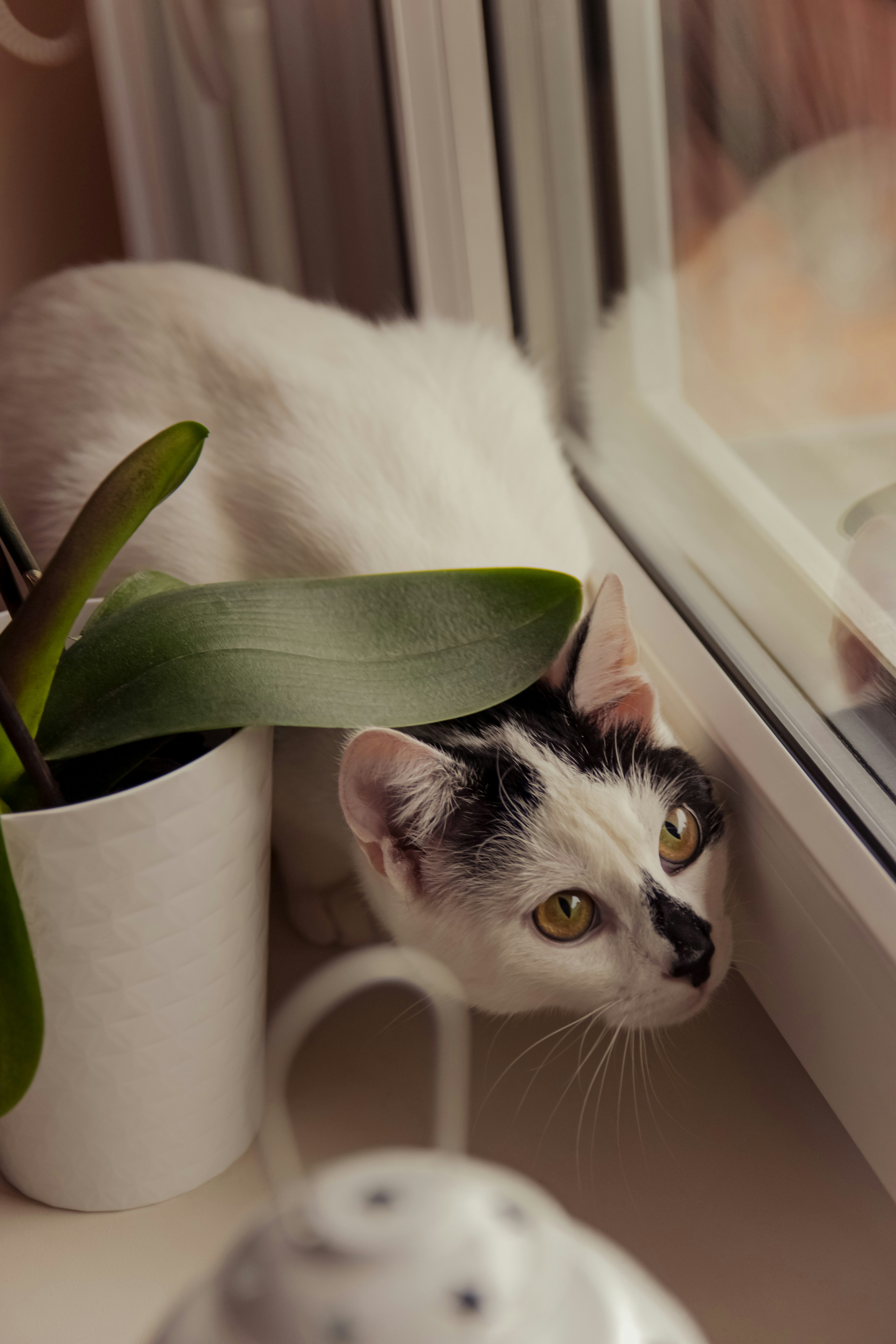 Photo by marcelina_orlikpach