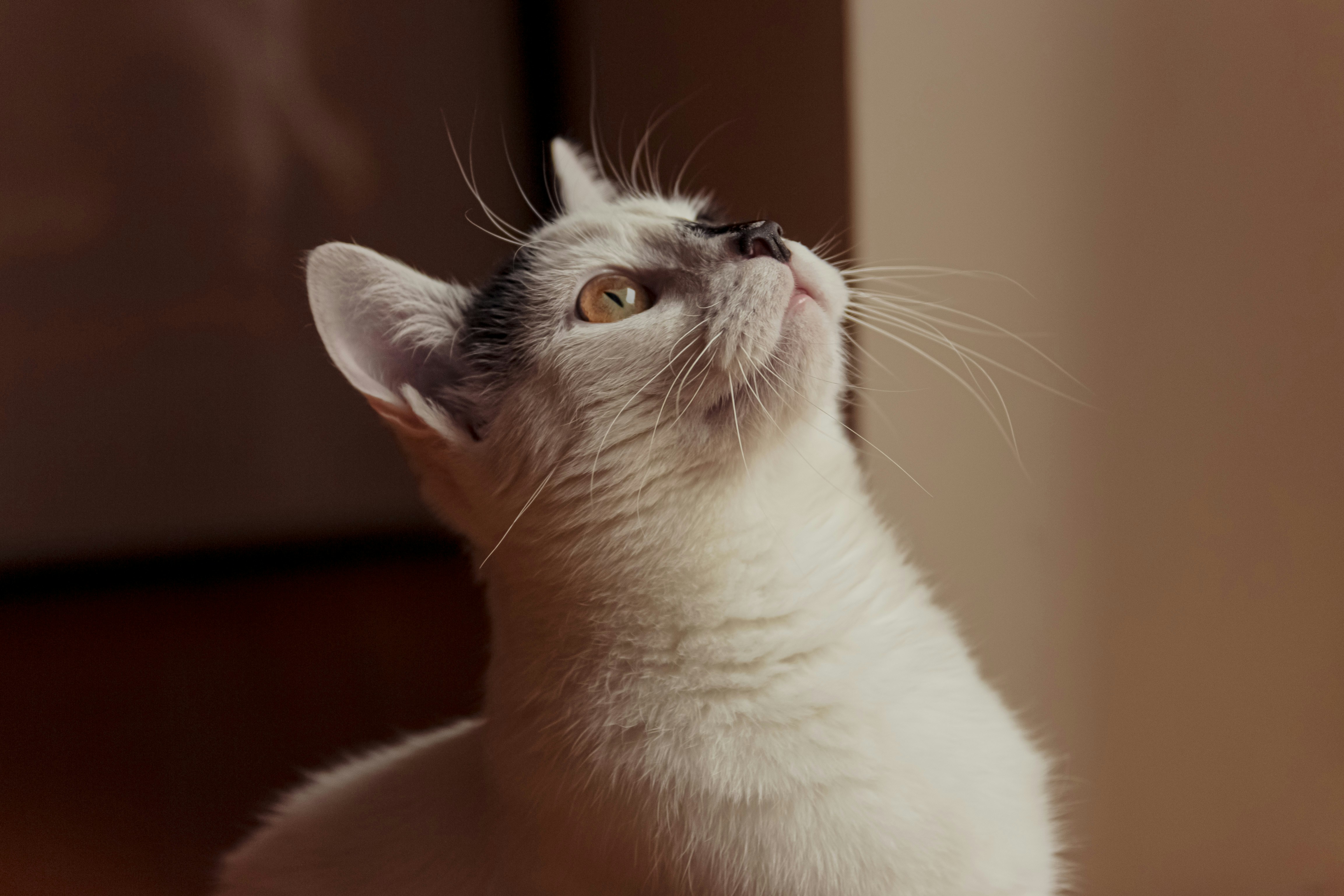 Photo by marcelina_orlikpach