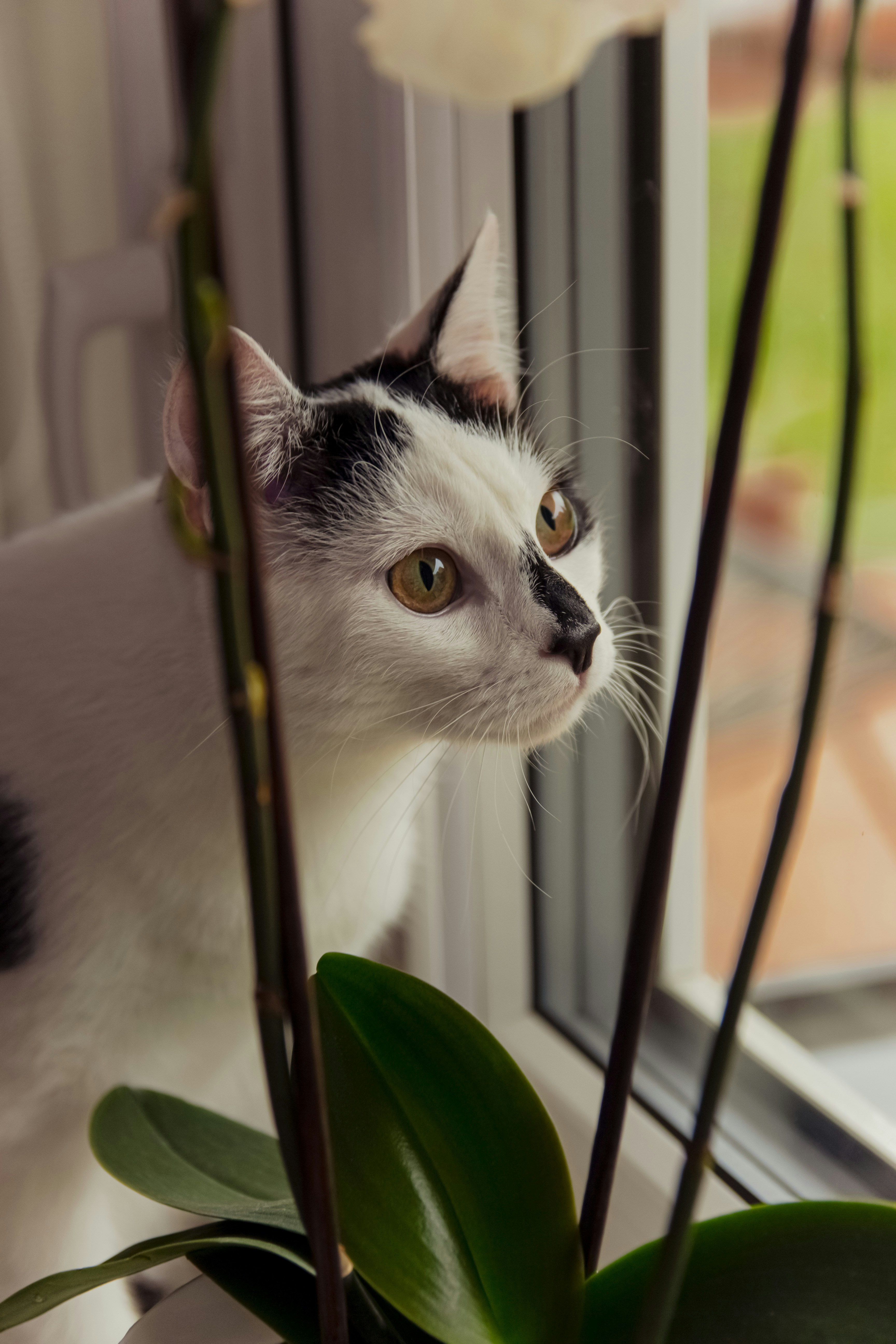 Photo by marcelina_orlikpach