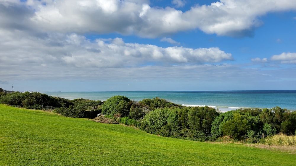 a lush green field next to the ocean under a cloudy blue sky