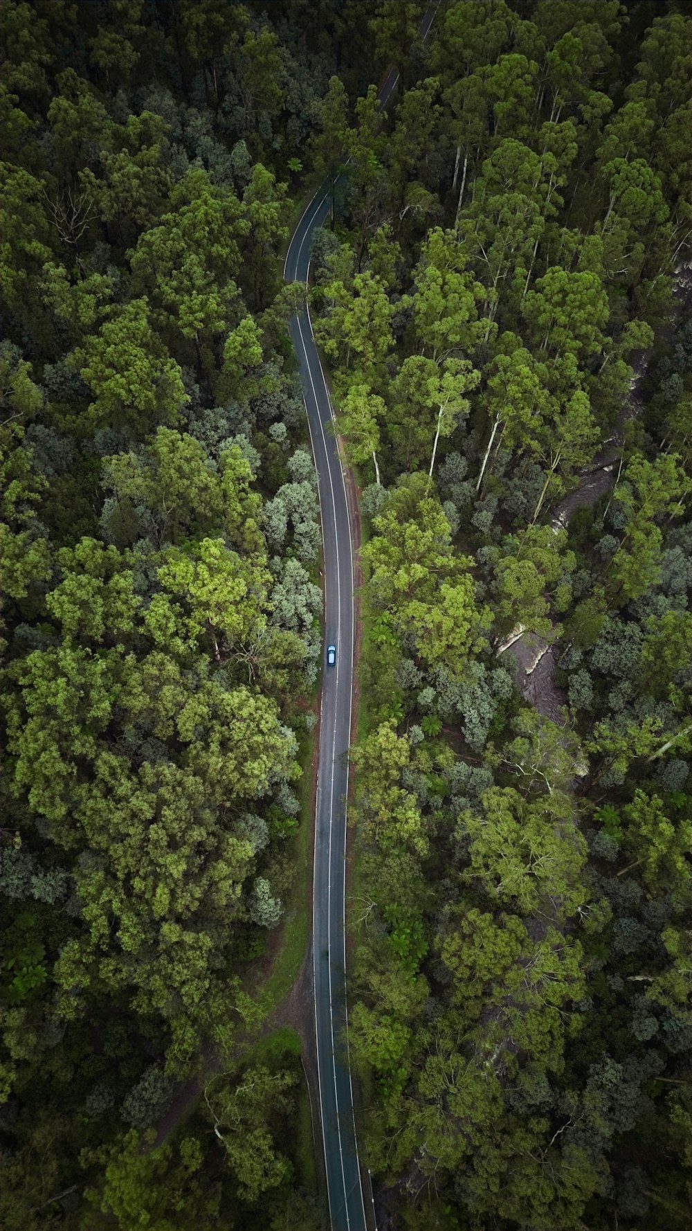 an aerial view of a road in the middle of a forest