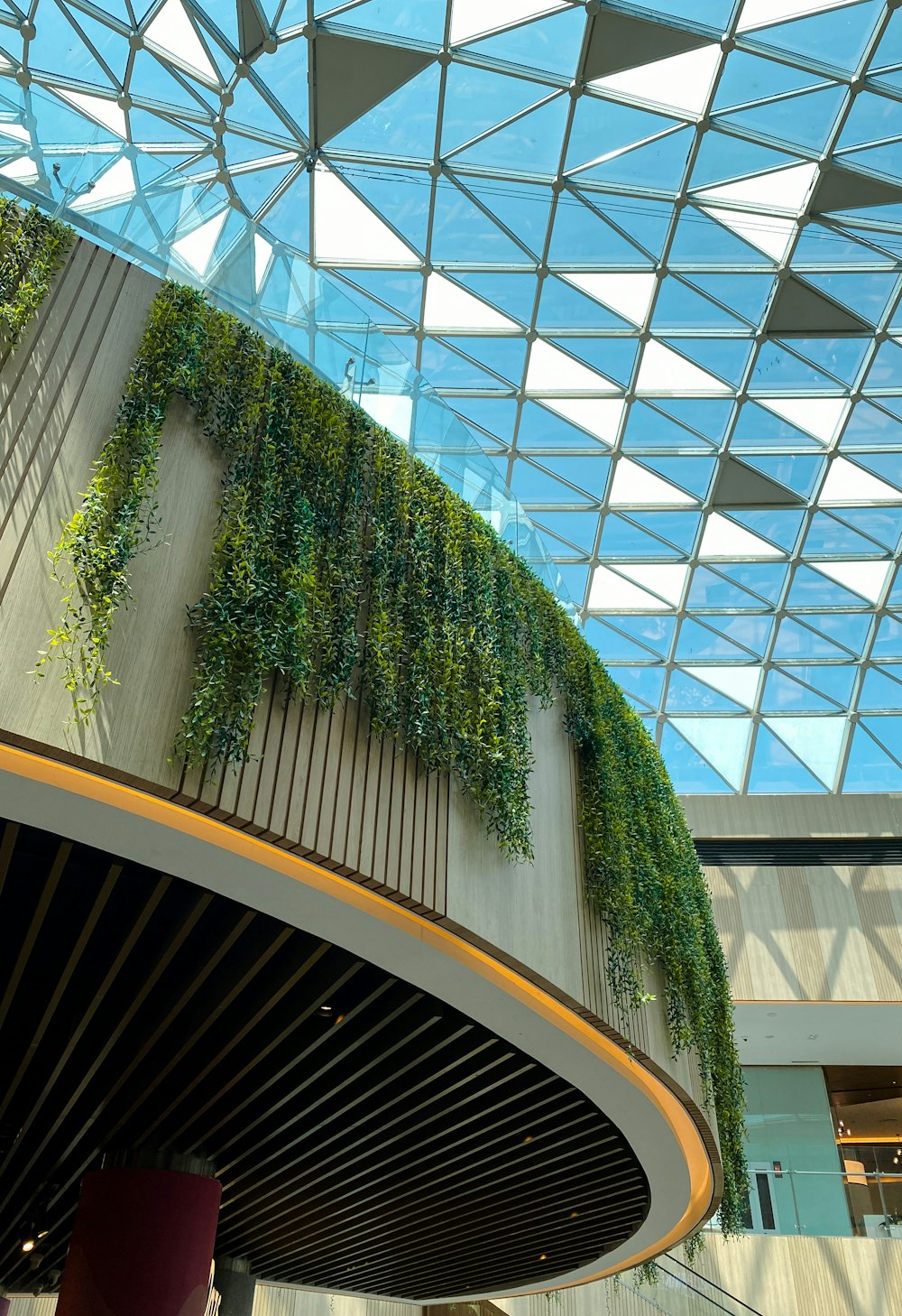 a building with a glass roof and a plant growing on the side of the building