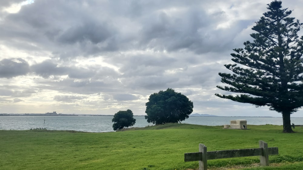 a grassy field next to a body of water