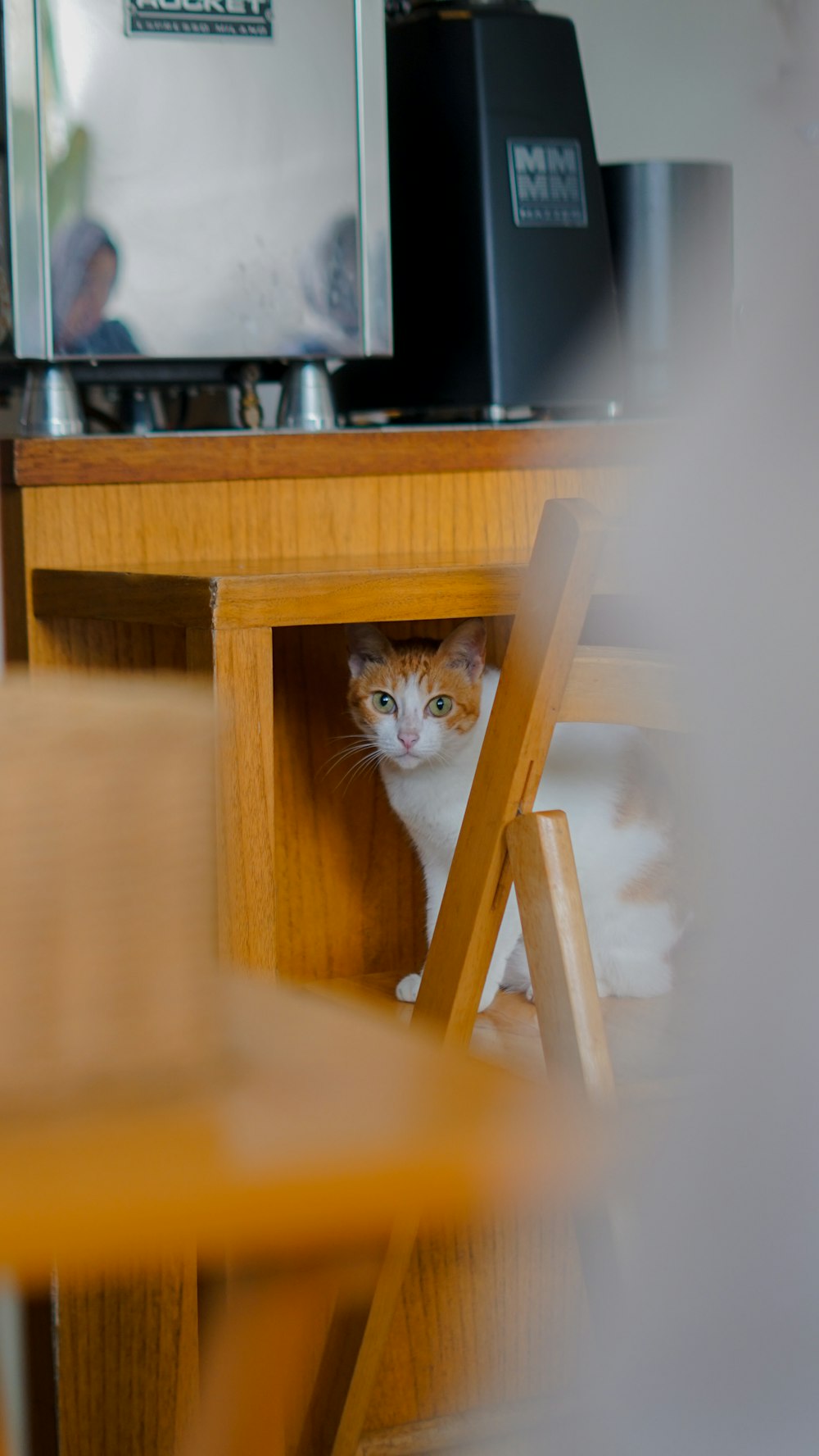 an orange and white cat peeking out from under a table