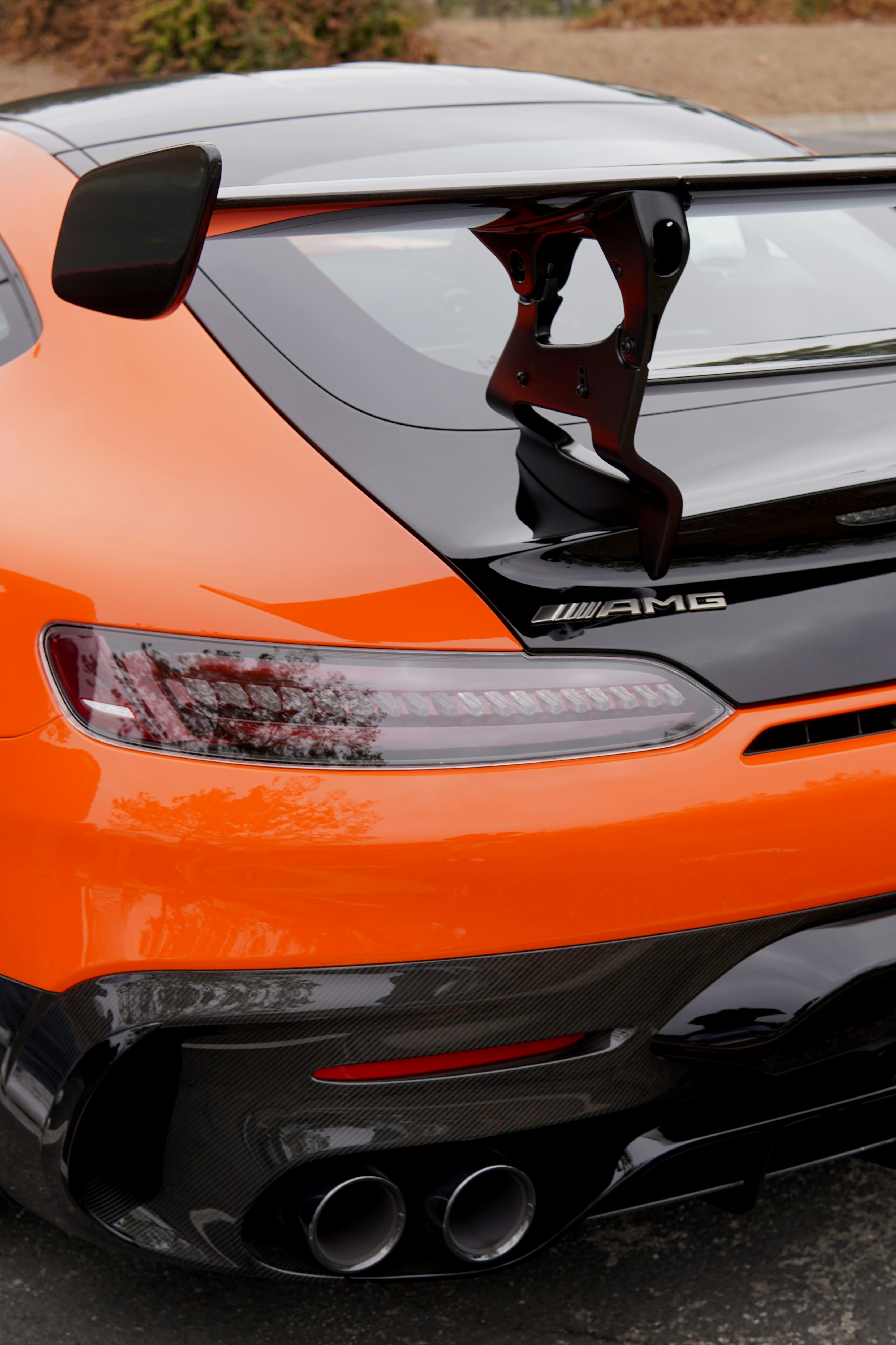 Photo by madeline_sd