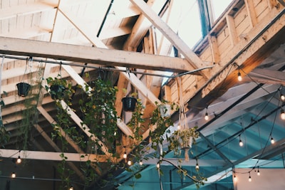 A warm, rustic event space decorated with diverse green plants, reflecting a natural and cozy atmosphere.