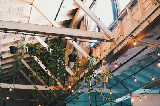 A cozy rustic office space with wooden beams, soft natural light, and green plants creating a welcoming atmosphere.