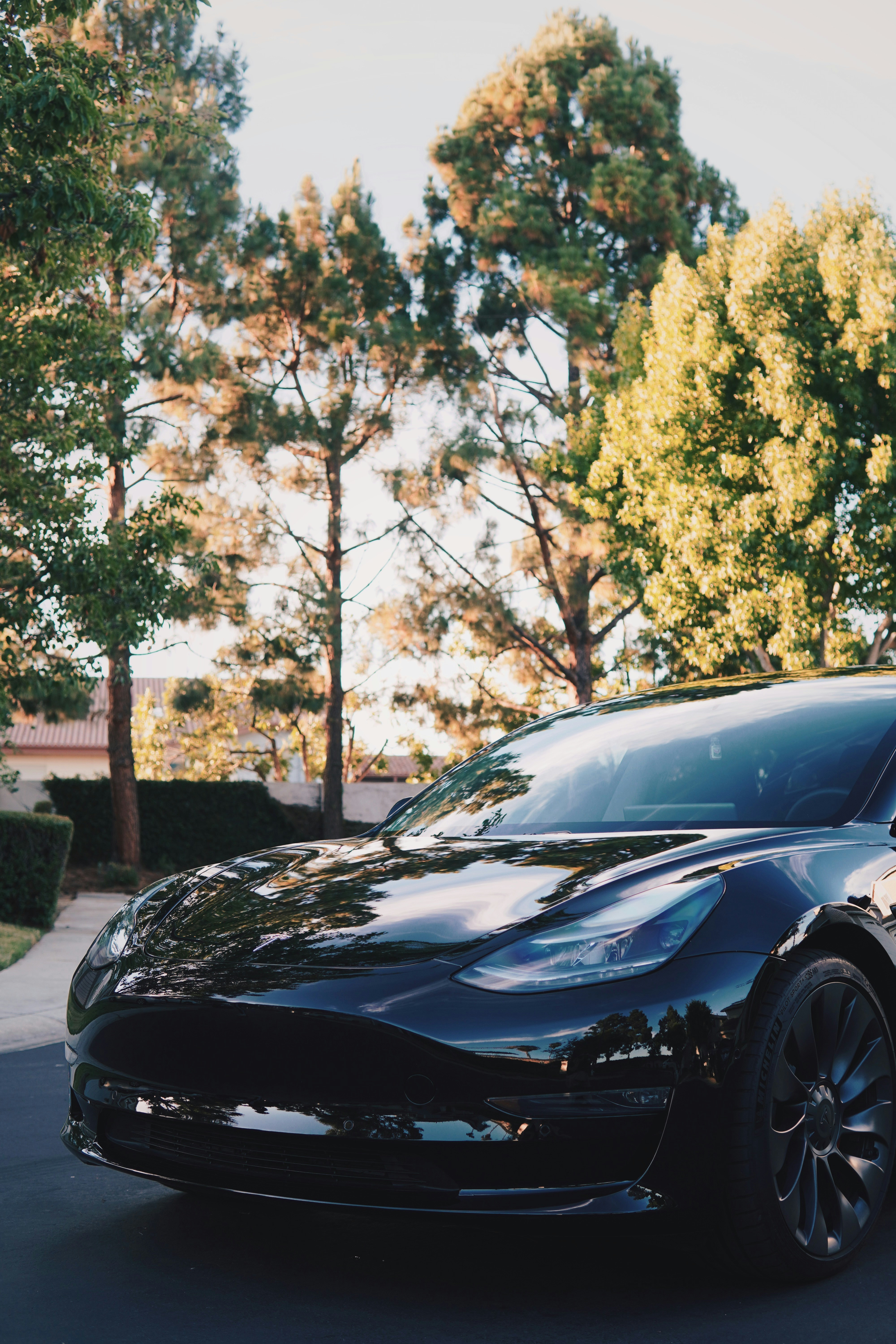 Photo by madeline_sd