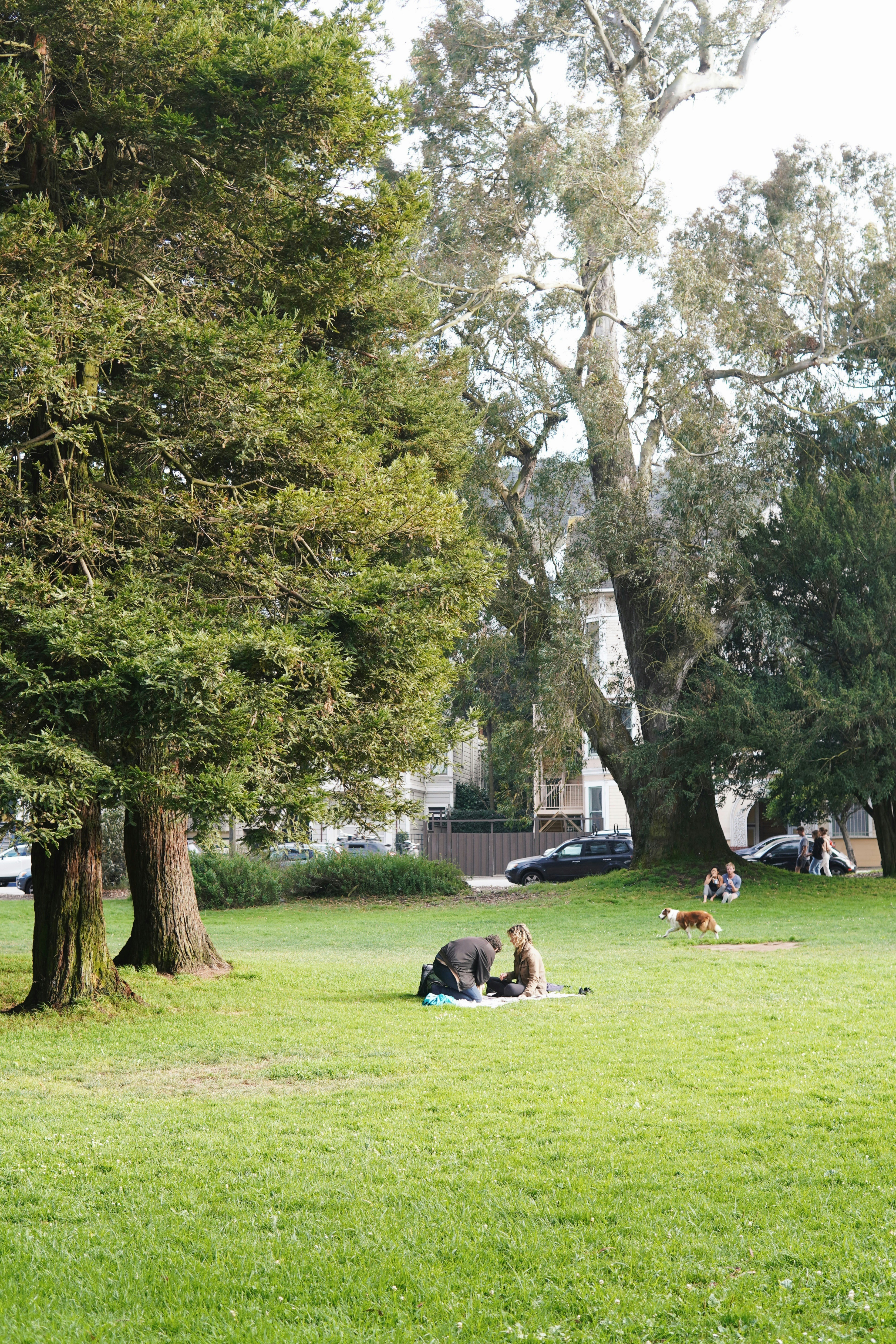 Photo by madeline_sd