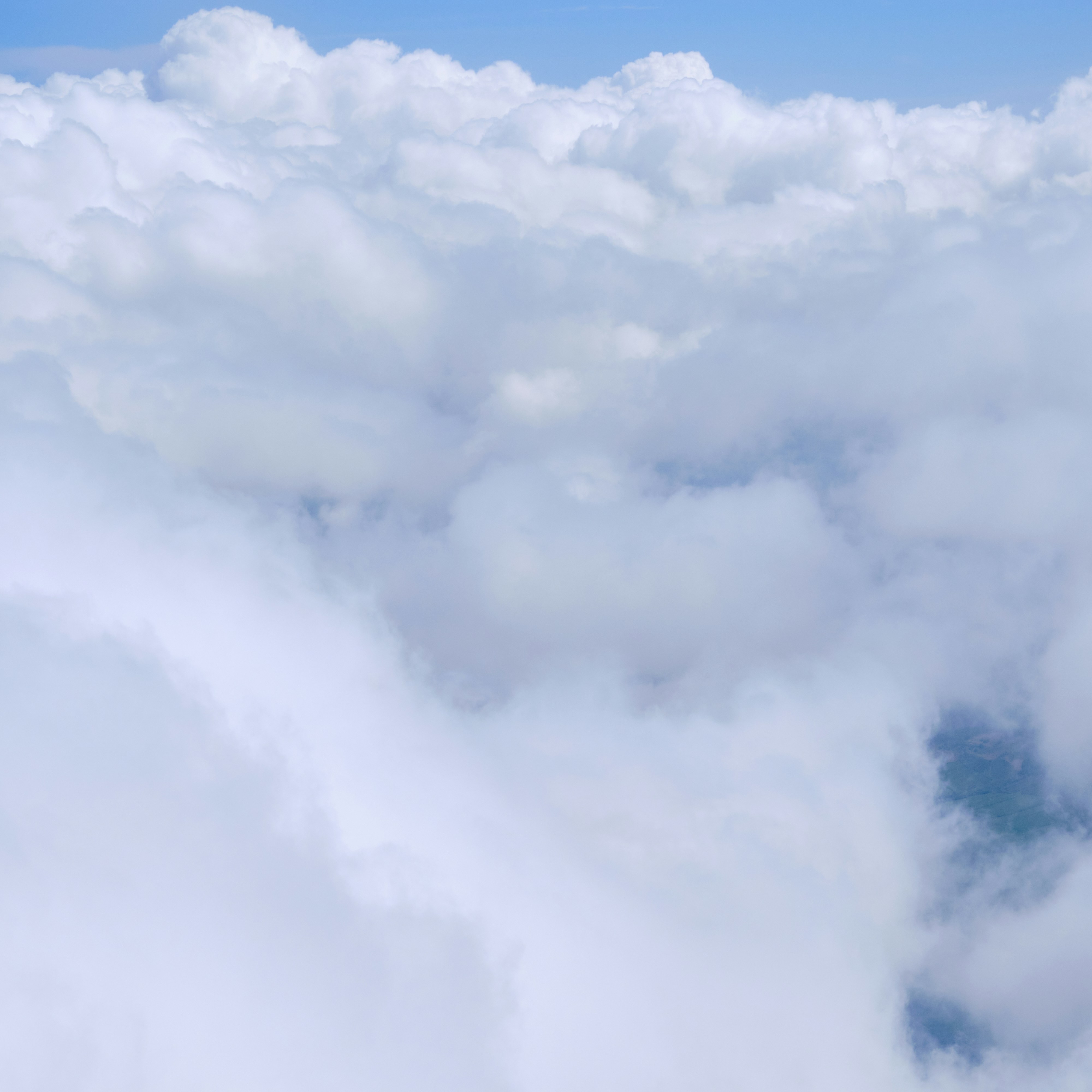 Photo by frostroomhead