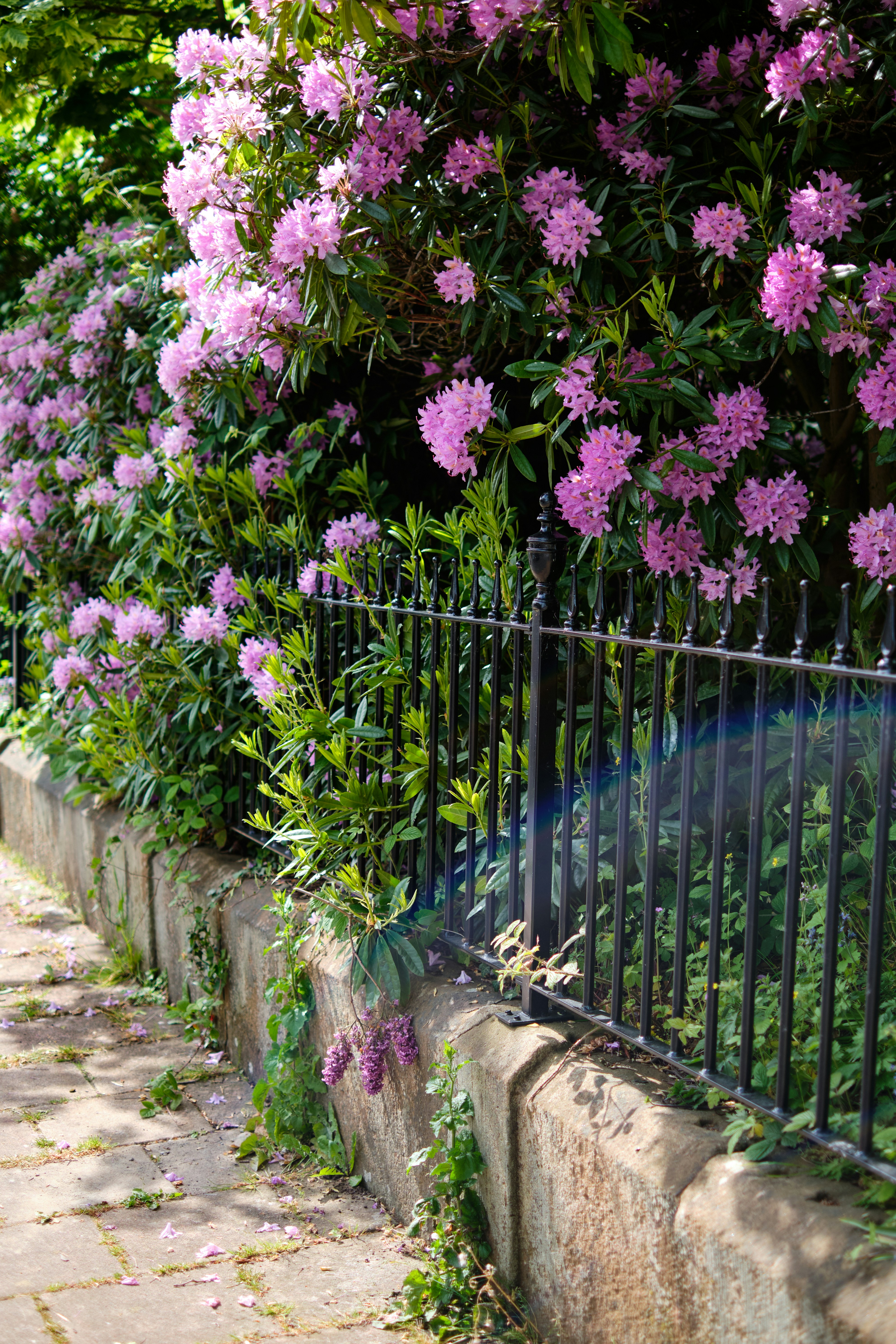 Photo by frostroomhead