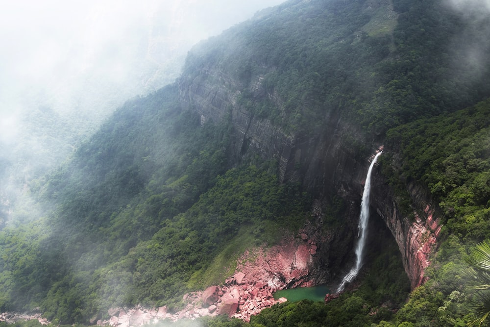 a waterfall in the middle of a lush green forest