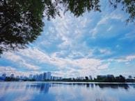 A serene landscape with a futuristic city skyline in the background.