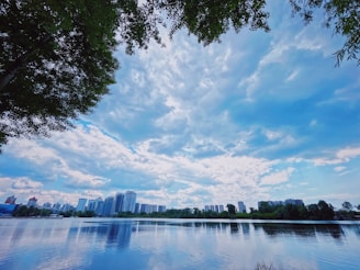 A serene landscape with a futuristic city skyline in the background.