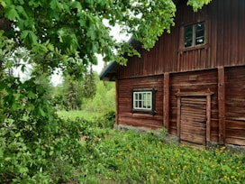 Rustic cabin exterior surrounded by tropical plants and flowers