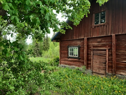 A rustic wooden cabin surrounded by lush greenery and vibrant yellow flowers. The cabin has weathered wooden walls and a wooden door, with small windows. Tall trees and dense foliage create a serene forest setting.