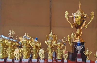 A collection of various gold and silver trophies of different sizes and designs, with intricate details and embellishments, displayed on a flat surface.