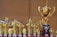 A collection of various gold and silver trophies of different sizes and designs, with intricate details and embellishments, displayed on a flat surface.