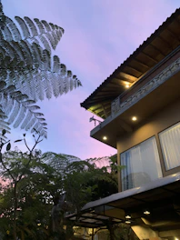 A vibrant 3D architectural rendering showcasing a modern home surrounded by lush greenery at sunset.