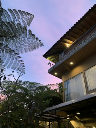The scene features the corner of a modern house with large windows and a decorative stone facade, surrounded by lush greenery under a twilight sky. The lighting is soft, emanating from bright recessed lighting under the roof edge. Delicate fern leaves frame the upper left corner, and the sky transitions from purple to pink hues, adding a calm and serene atmosphere.