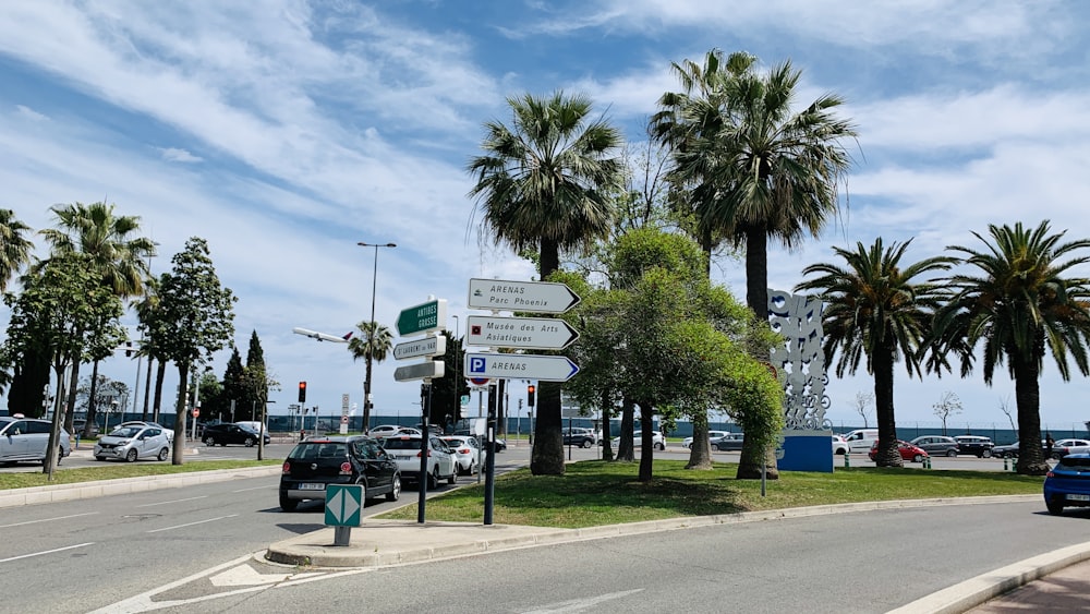 a street with palm trees and street signs