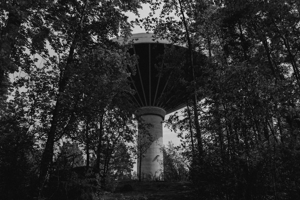 a water tower in the middle of a forest