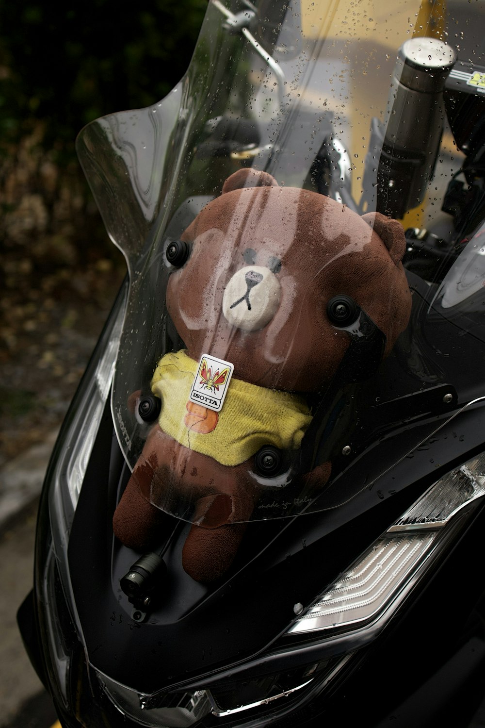 a stuffed animal on the back of a motorcycle
