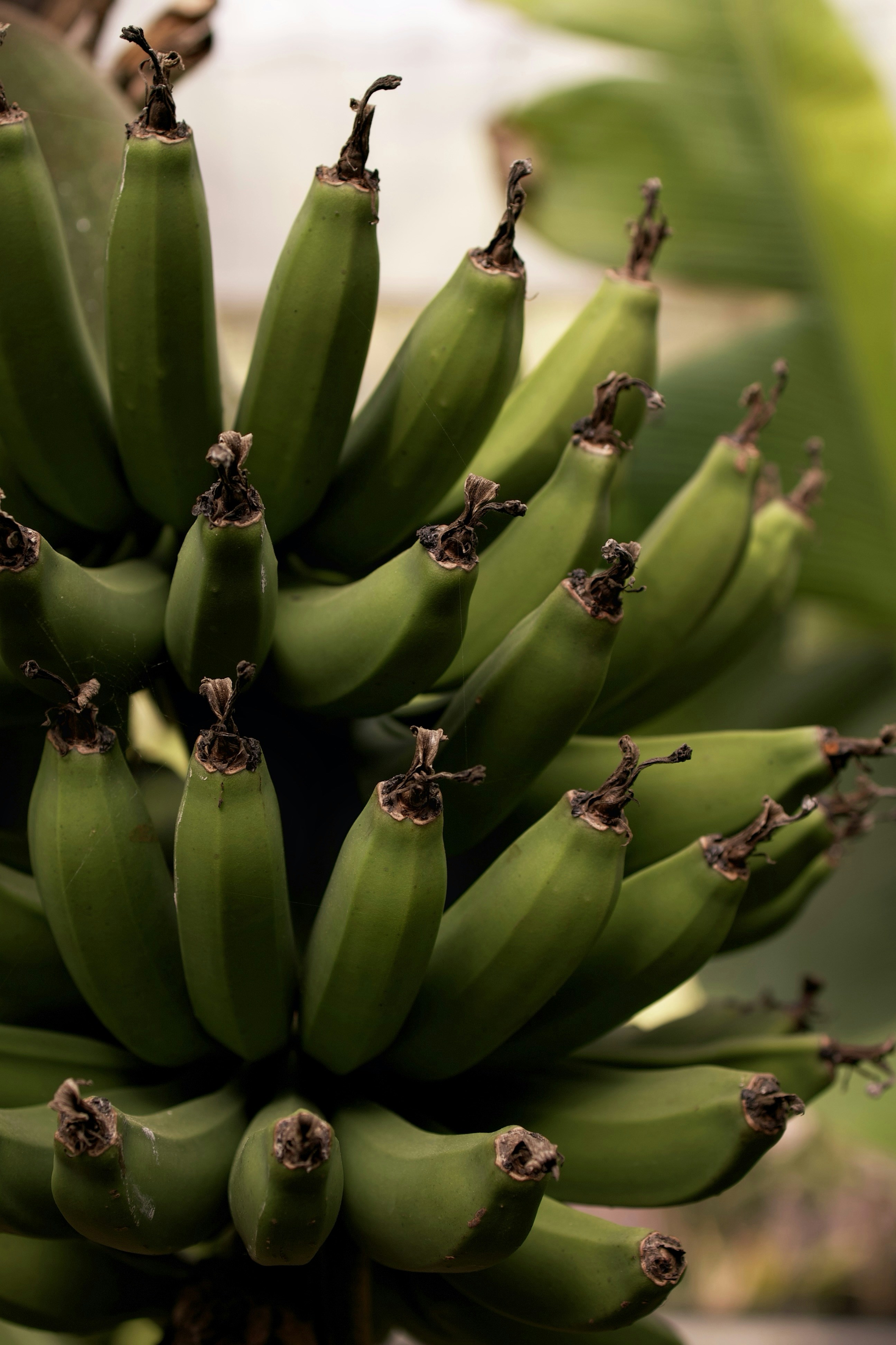 Photo by evgeniya_pron