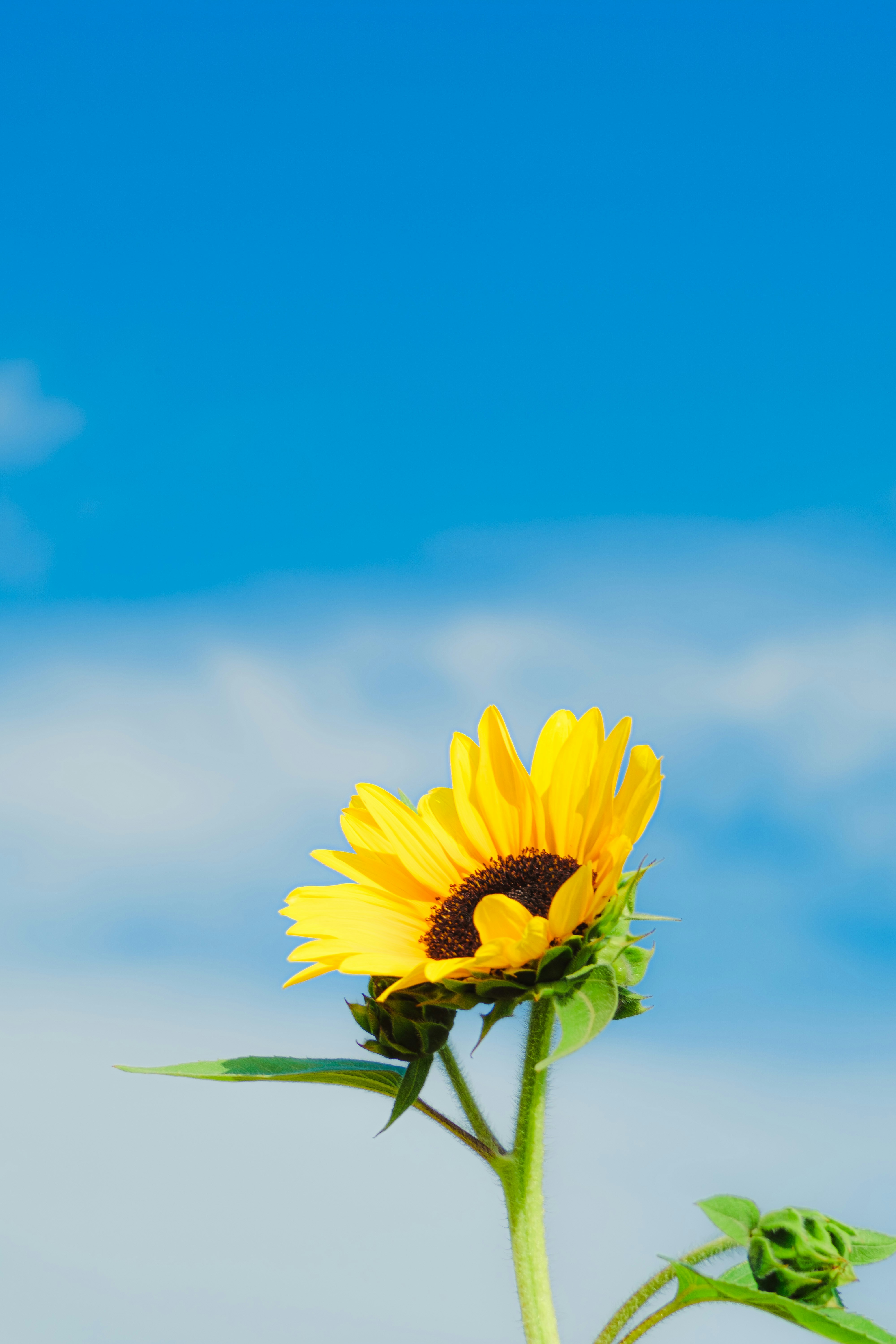 Photo by xiexianghua