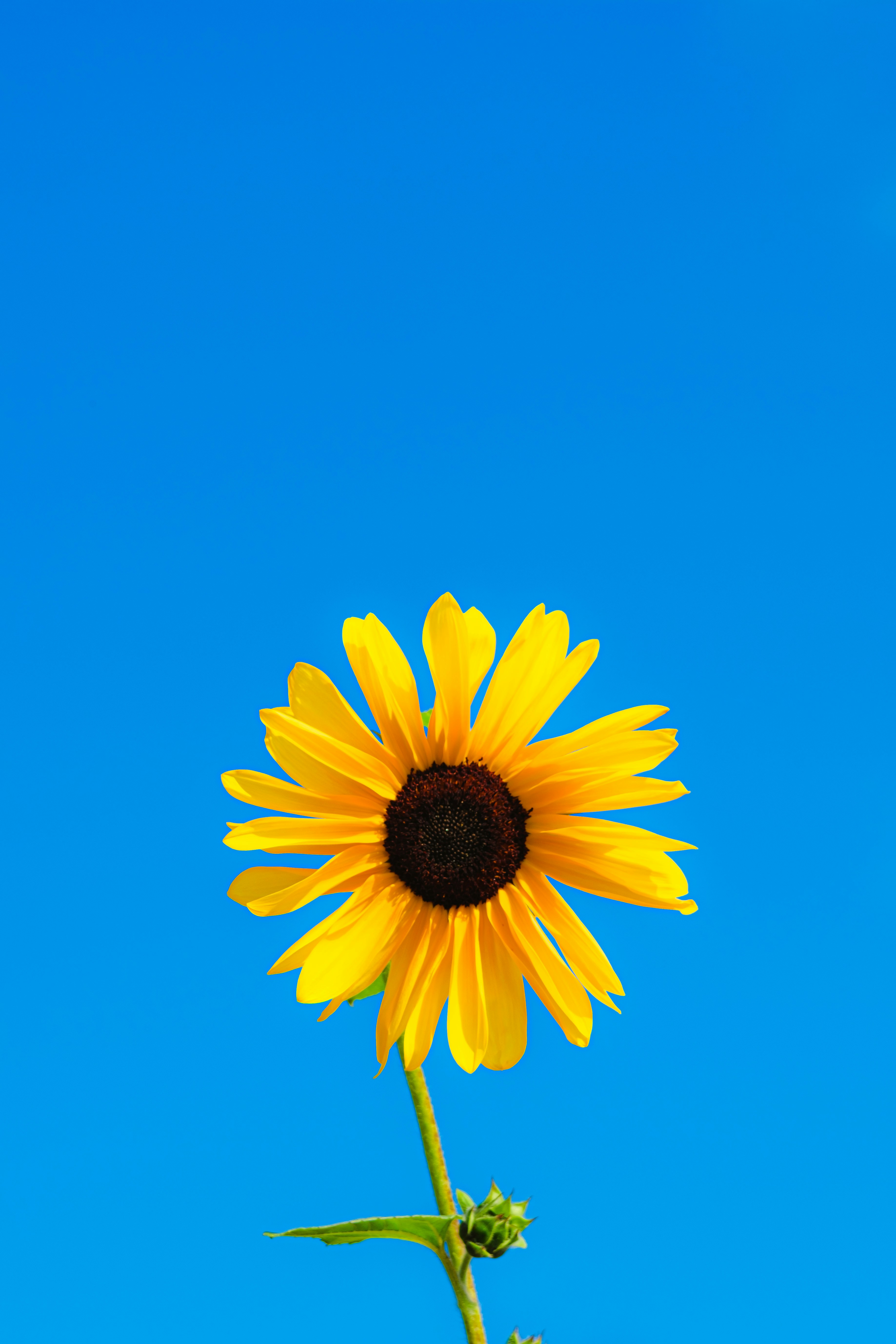 Photo by xiexianghua