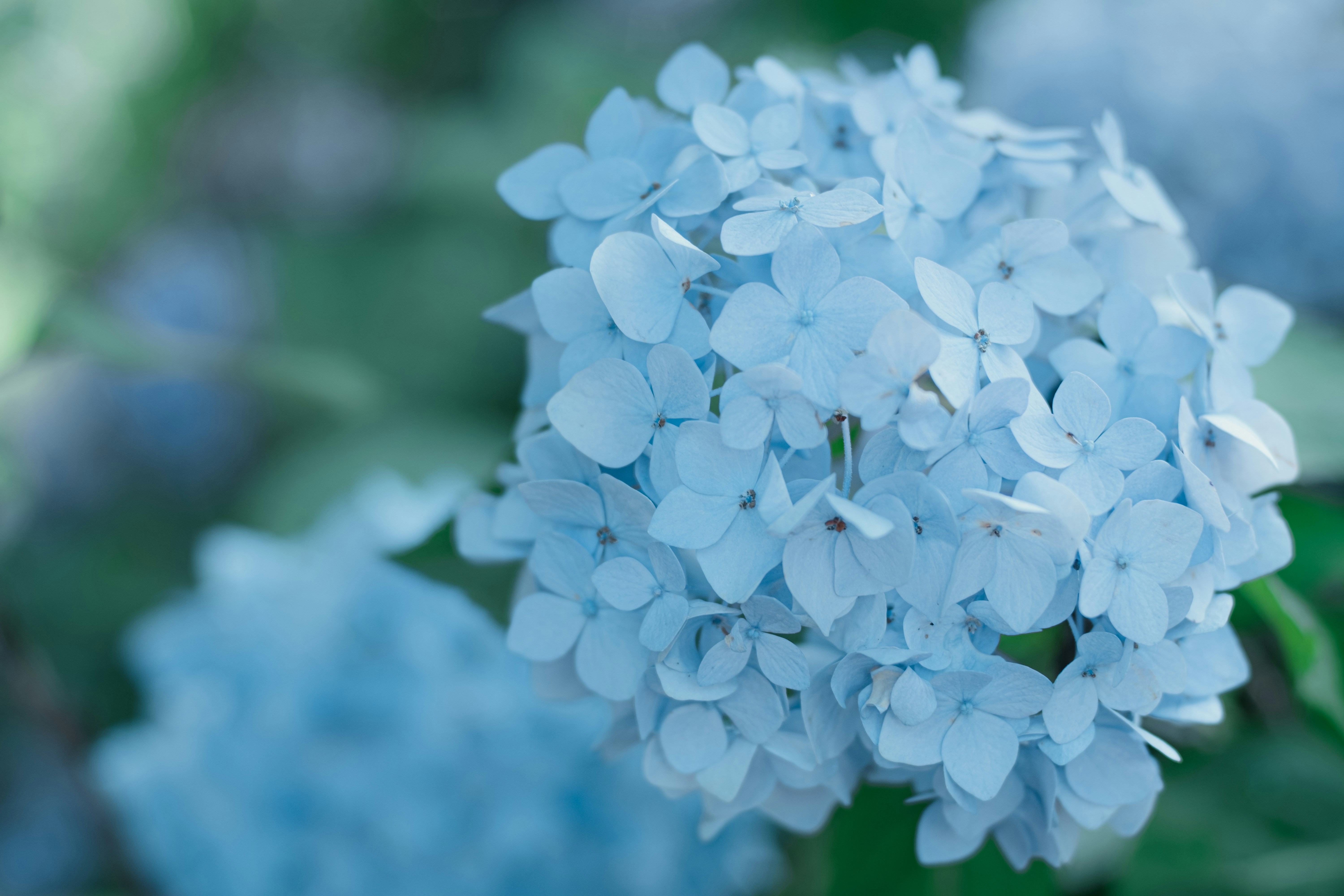 Photo by xiexianghua