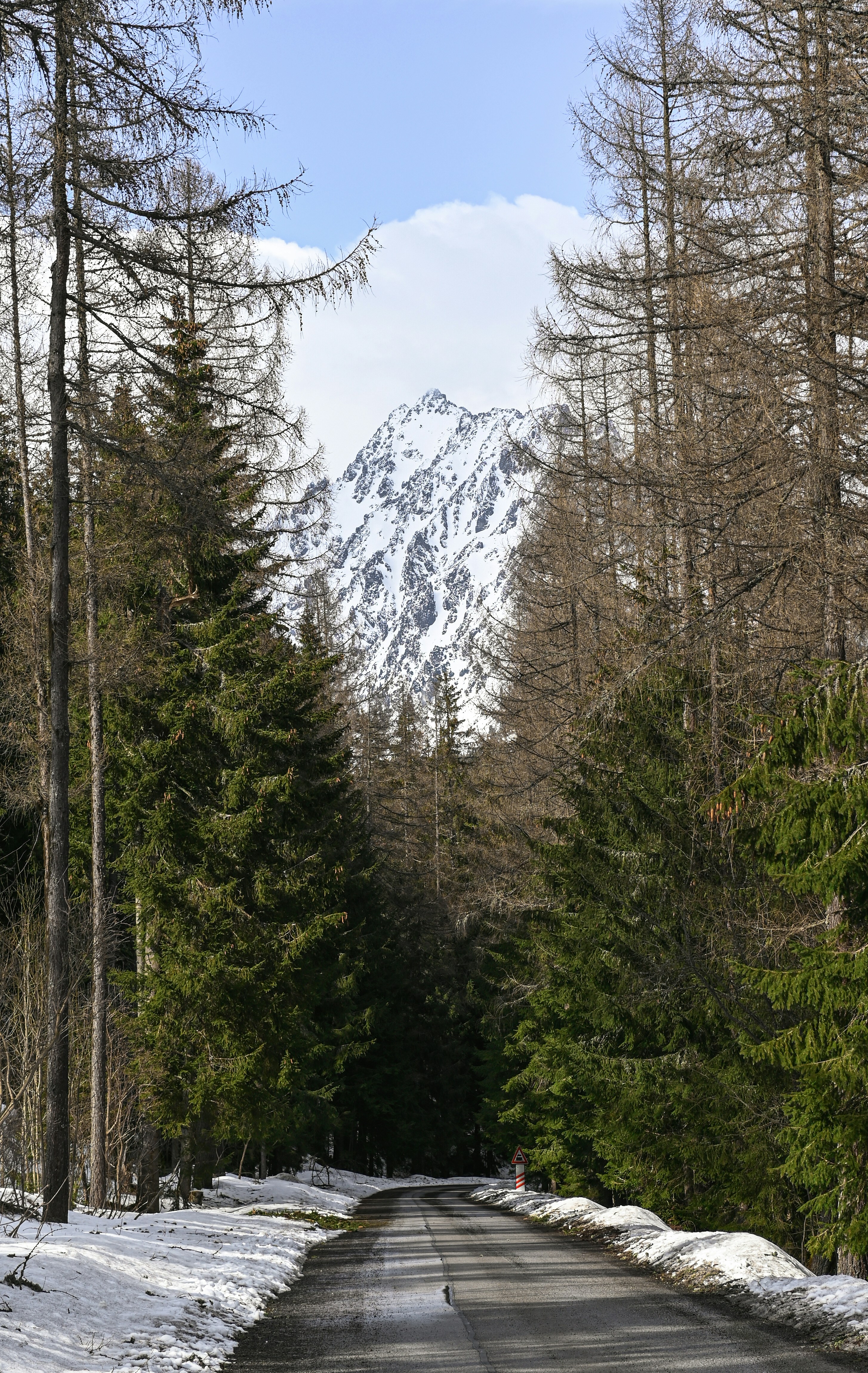 a snow covered road surrounded by trees and mountains