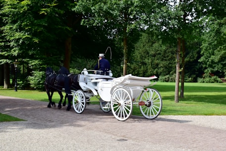 a white horse drawn carriage on a paved road