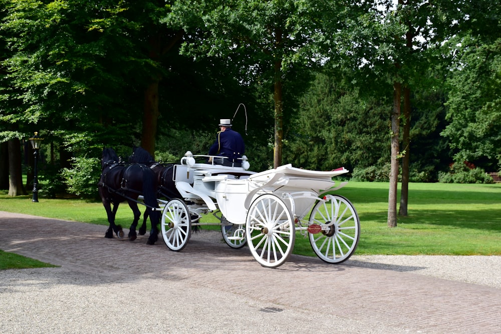a white horse drawn carriage on a paved road