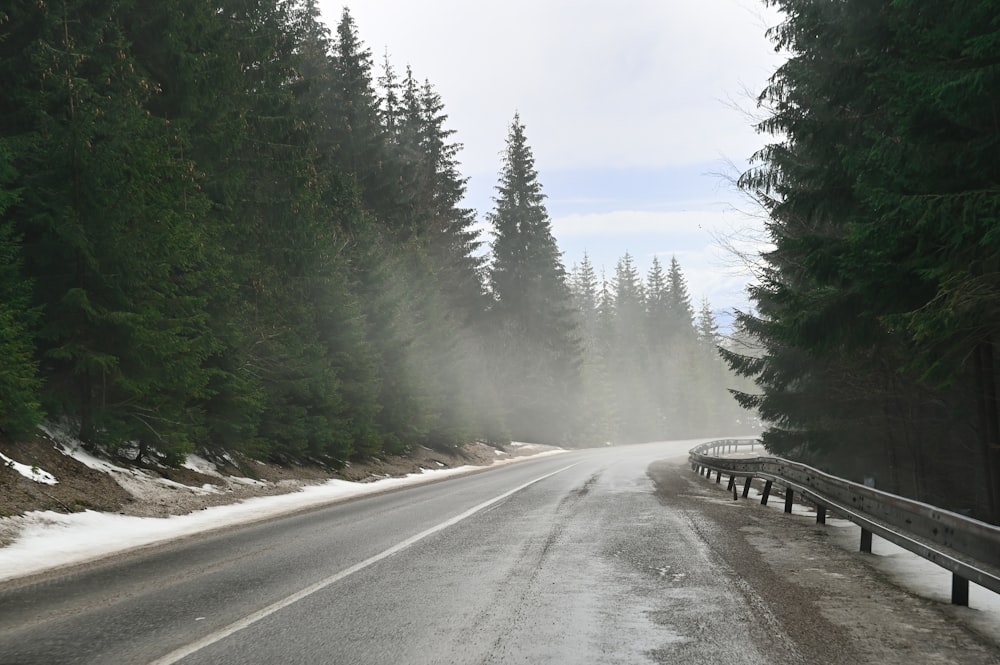 uma estrada cercada por árvores e neve
