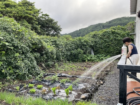 Young children watering plants in a small school garden under teacher supervision.