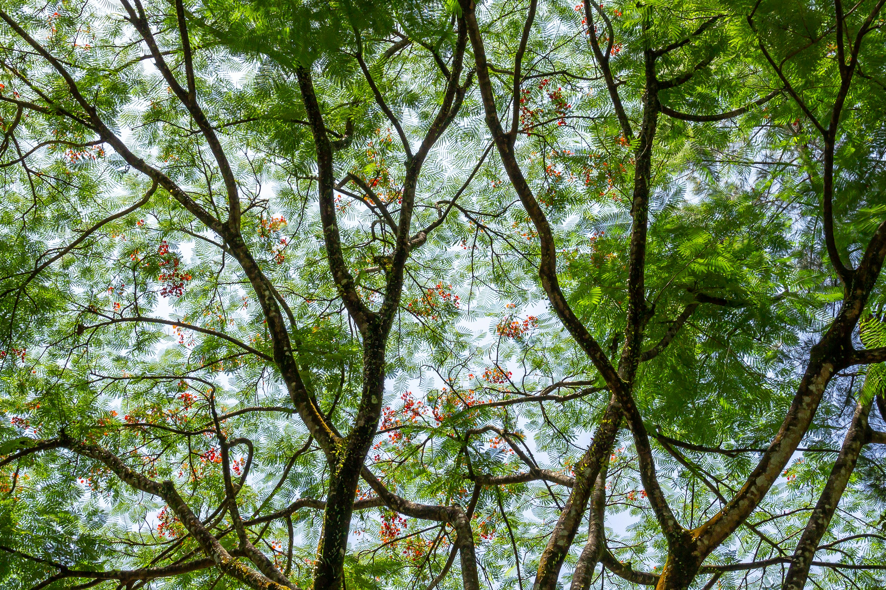 Photo by solomonikvik