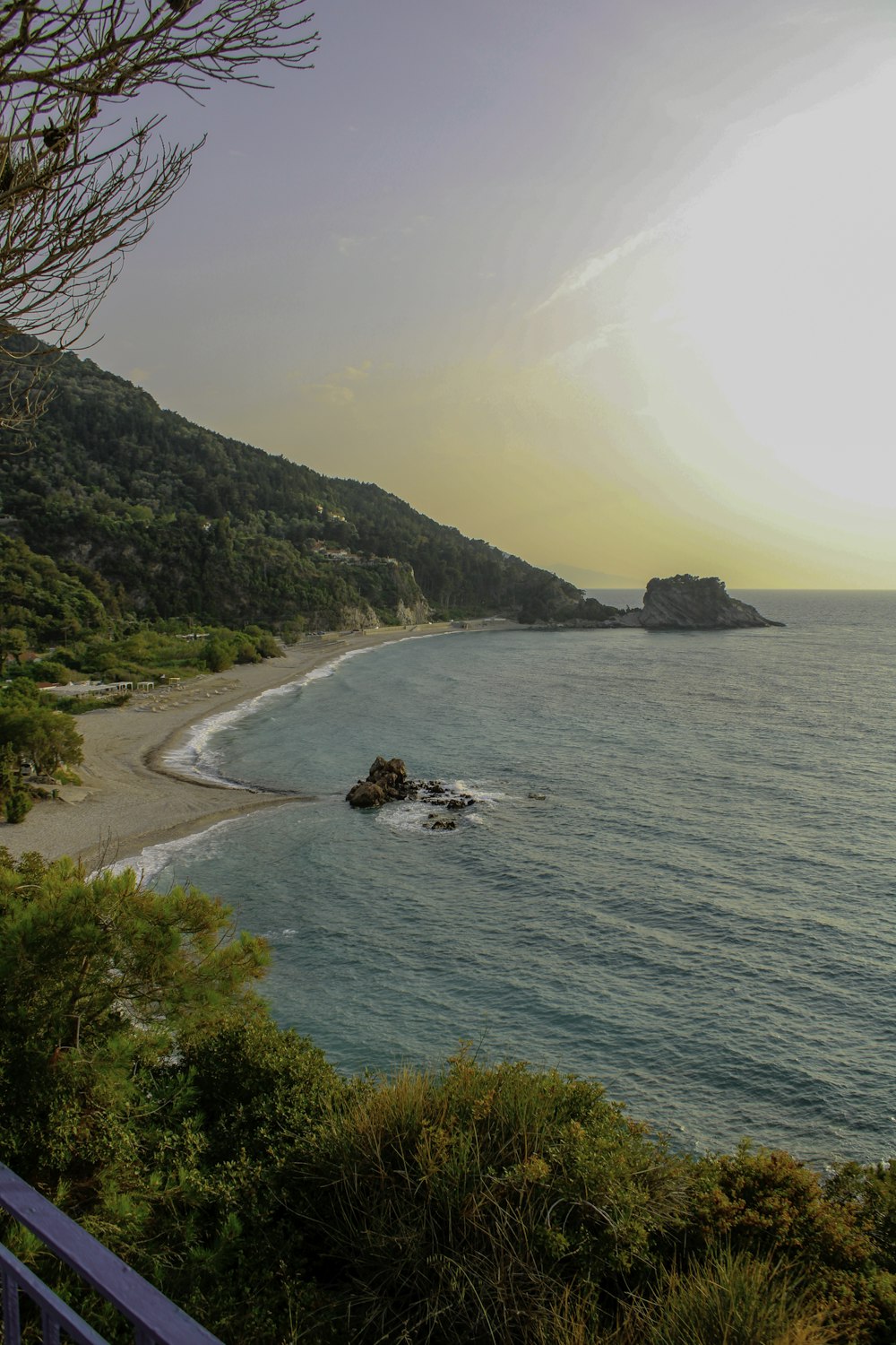 a view of the ocean from a hill